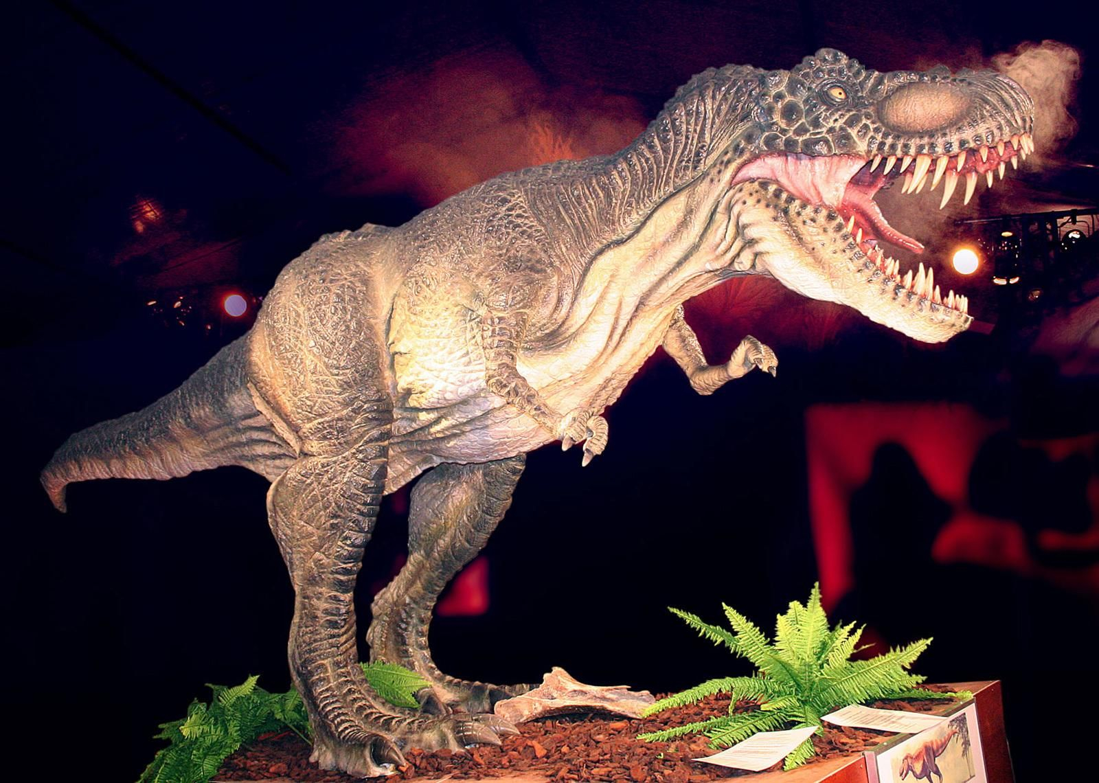 Exposición de dinosaurios en el Estadio de la Cartuja, Dino Expo XXL.