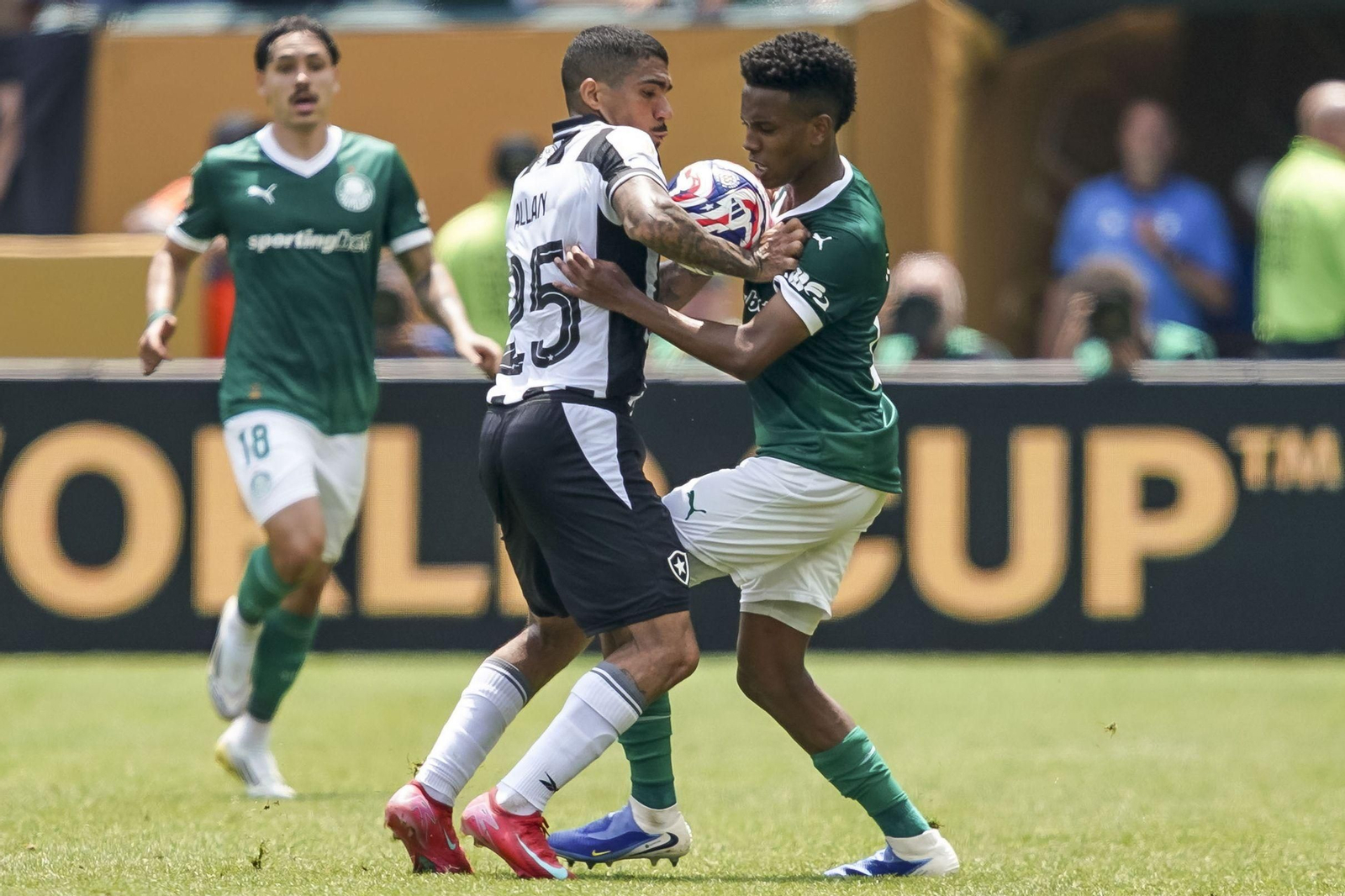 Palmeiras-Botafogo (13).jpg