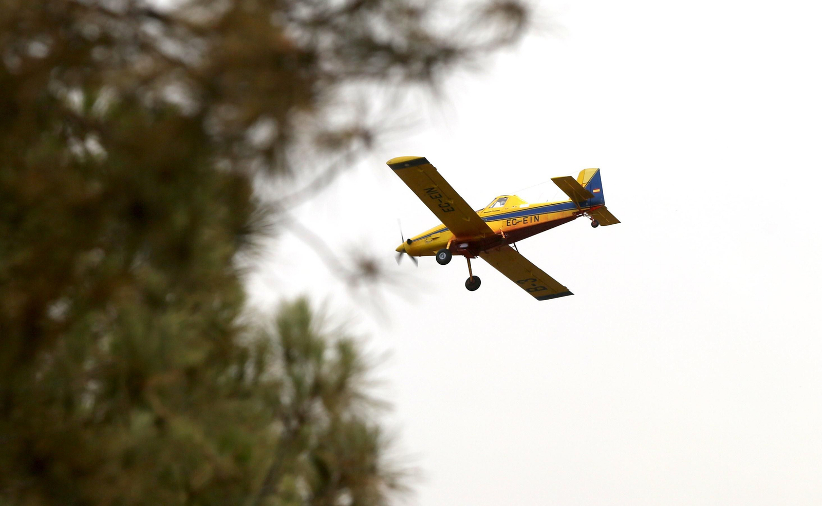 Las consecuencias del incendio en Mazagón