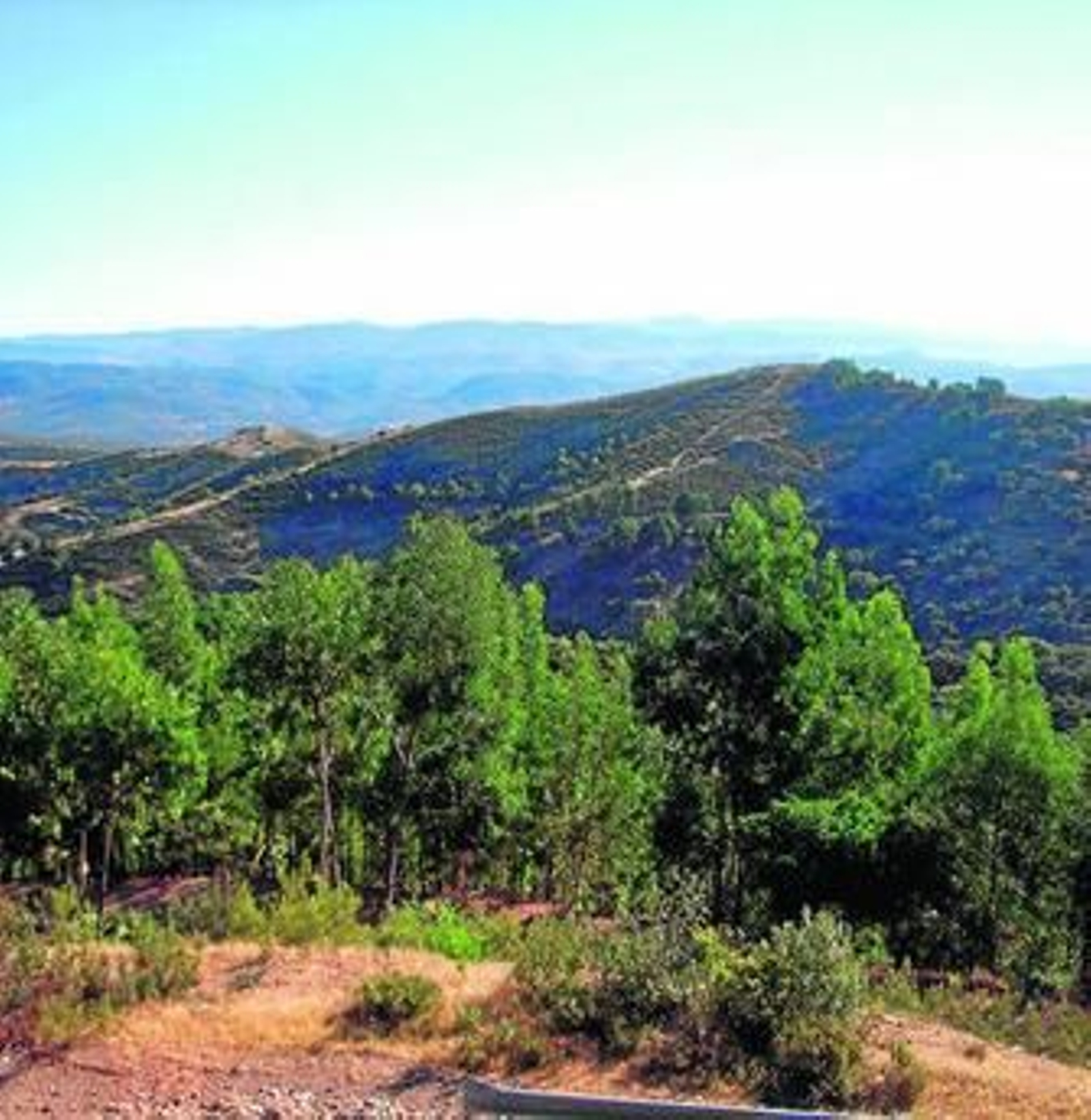 Los terrenos por los que discurrían las cacerías del lobo en la Sierra de Aracena y Picos de Aroche. Los terrenos por los que discurrían las cacerías del lobo en la Sierra de Aracena y Picos de Aroche.
