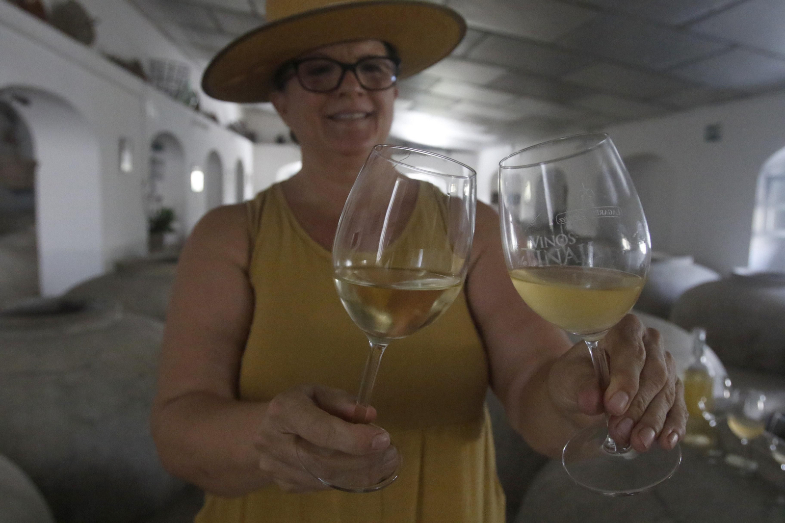 La vendimia en Montilla-Moriles, en fotografías