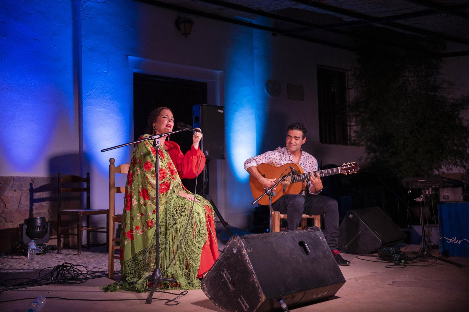 Las mejores imágenes del Festival de Flamenco en Fondón