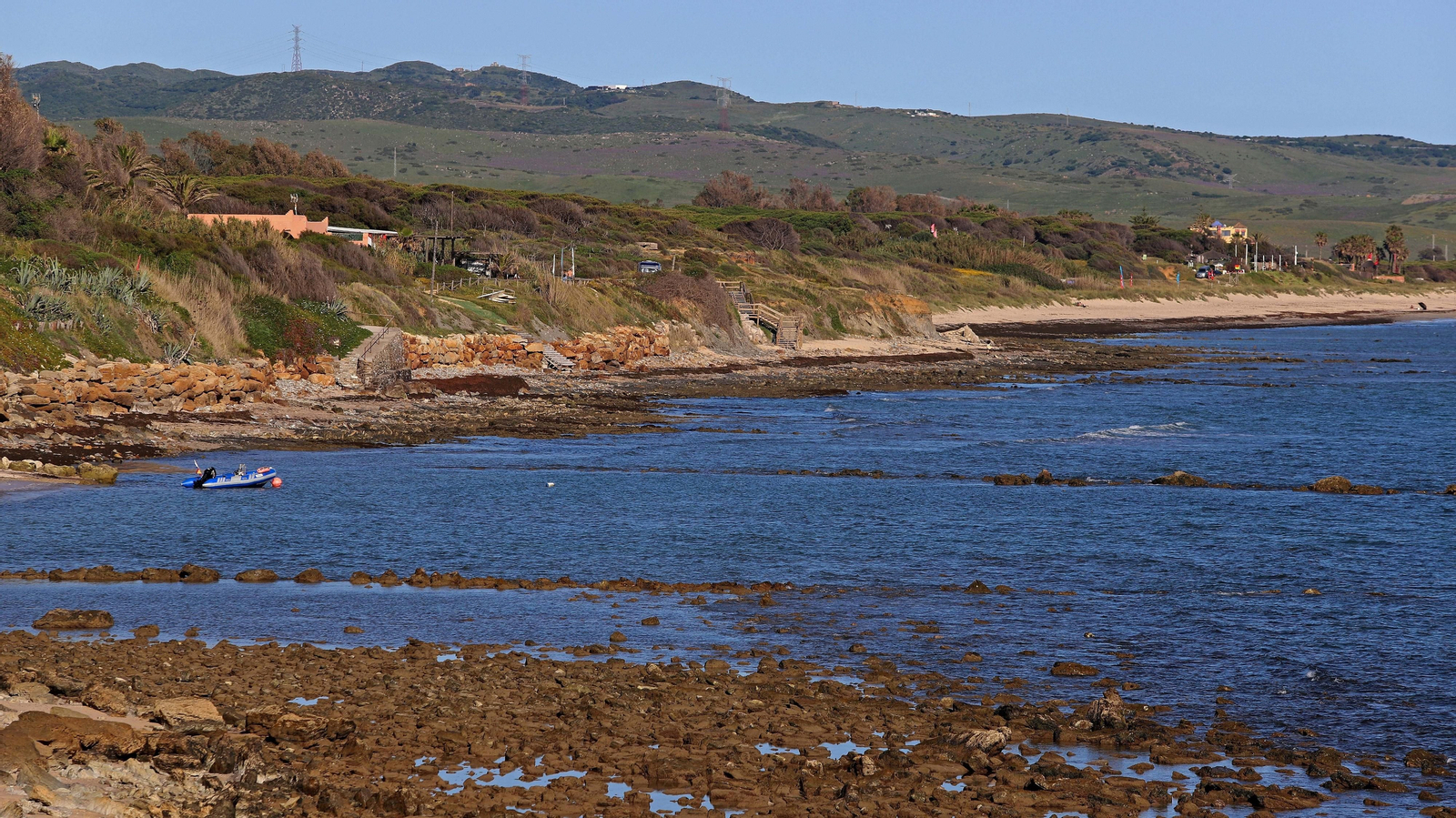 Alga invasora en Tarifa