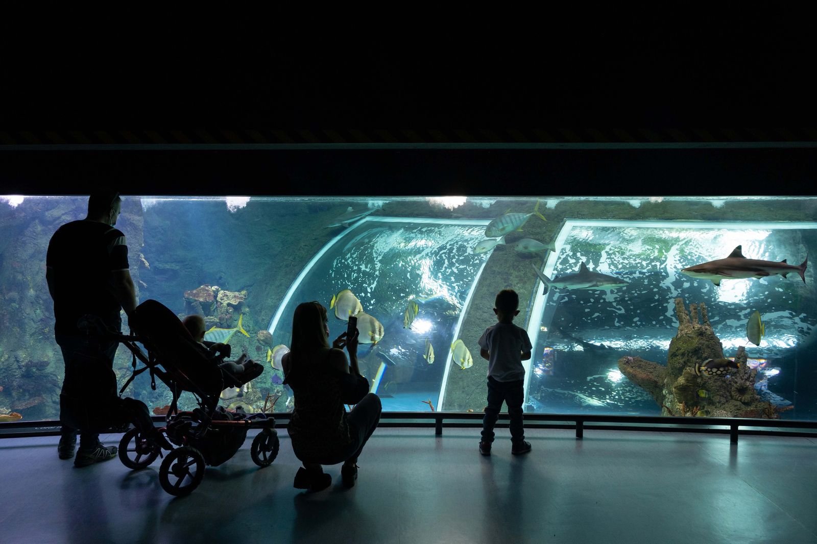 Un imagen del BioDomo del Parque de las Ciencias.