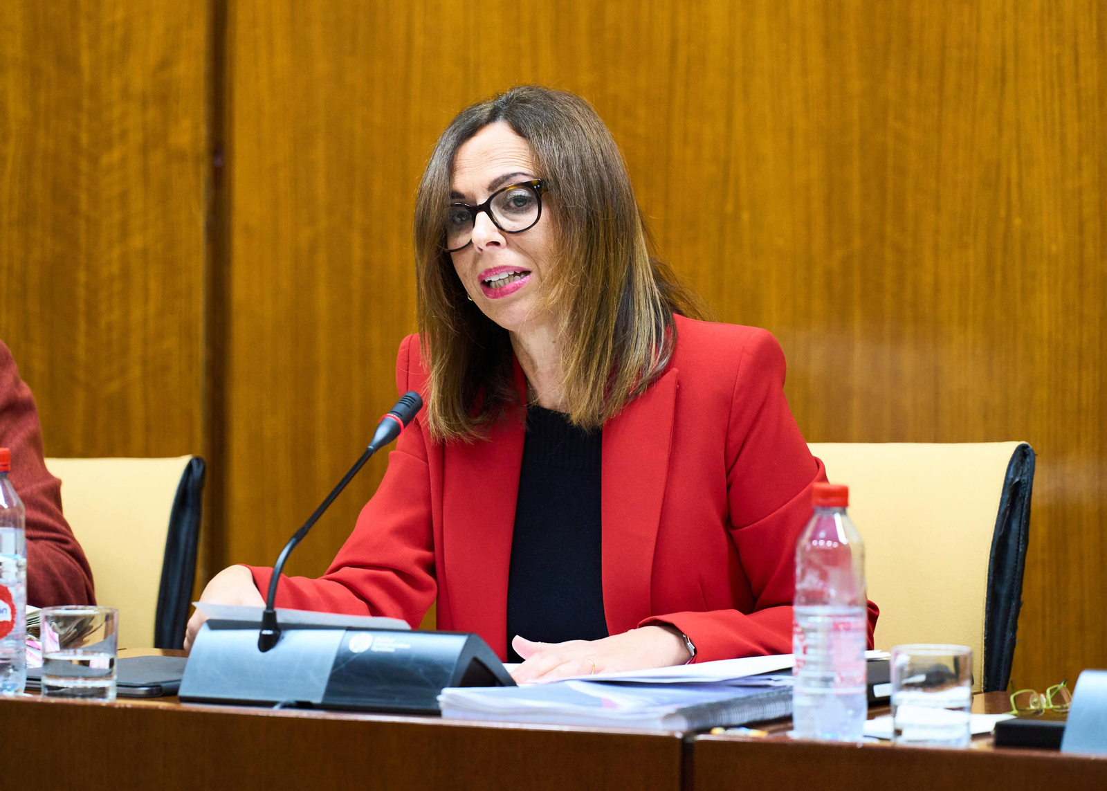 La consejera de Fomento, Rocío Díaz, en la comisión del Parlamento andaluz esta mañana.
