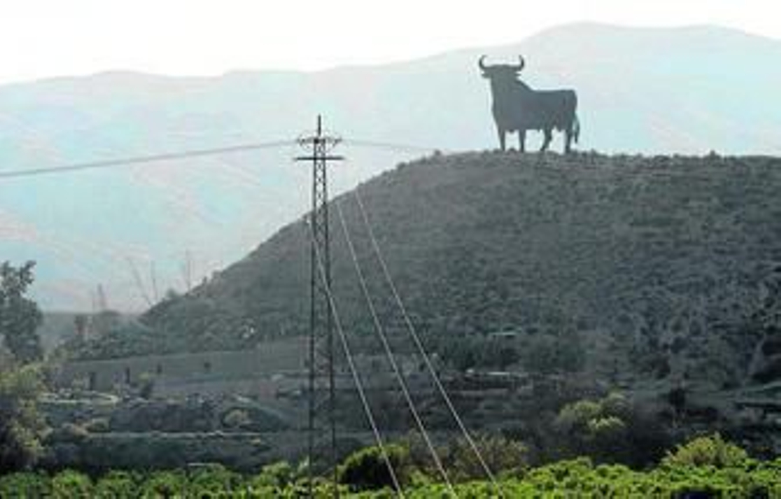 Vista del toro de Osborne de Benahadux desde las cercanías del municipio de Rioja.