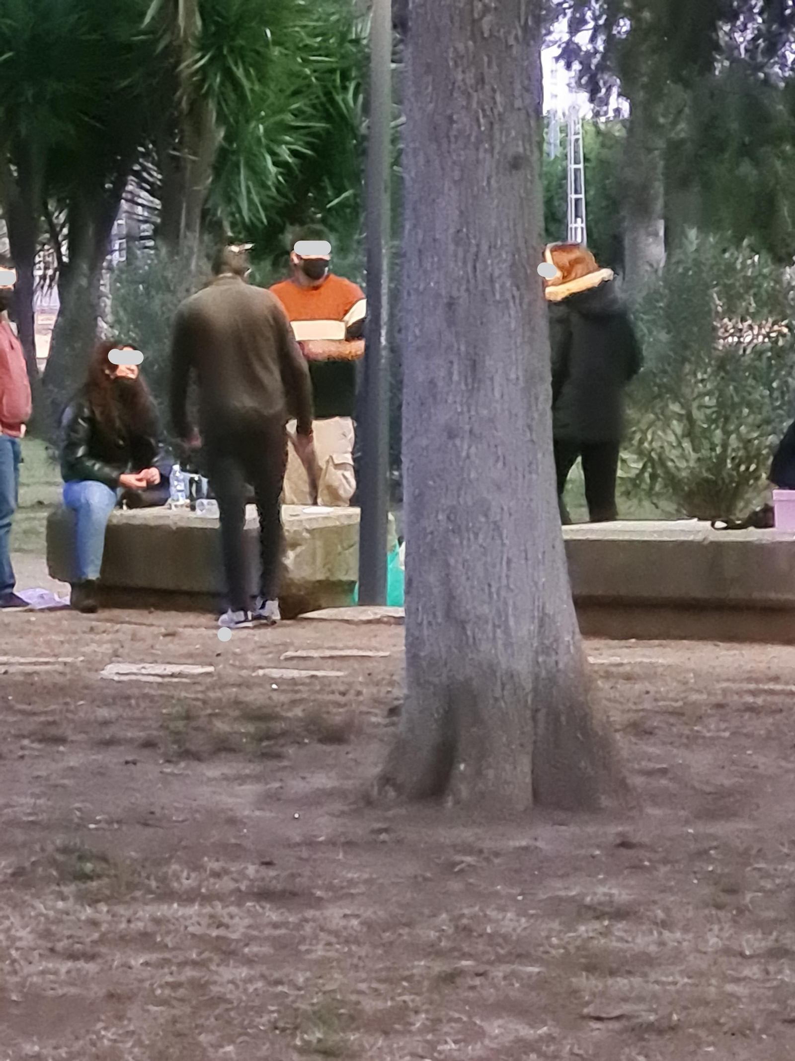 Jóvenes este domingo en el parque González Hontoria. Jóvenes este domingo en el parque González Hontoria.