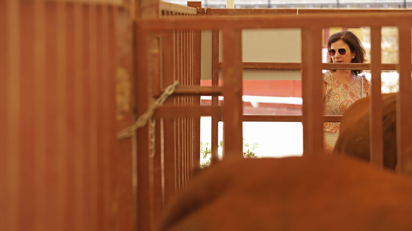 Fotos de la inauguración de la 171 Feria del Ganado de Algeciras