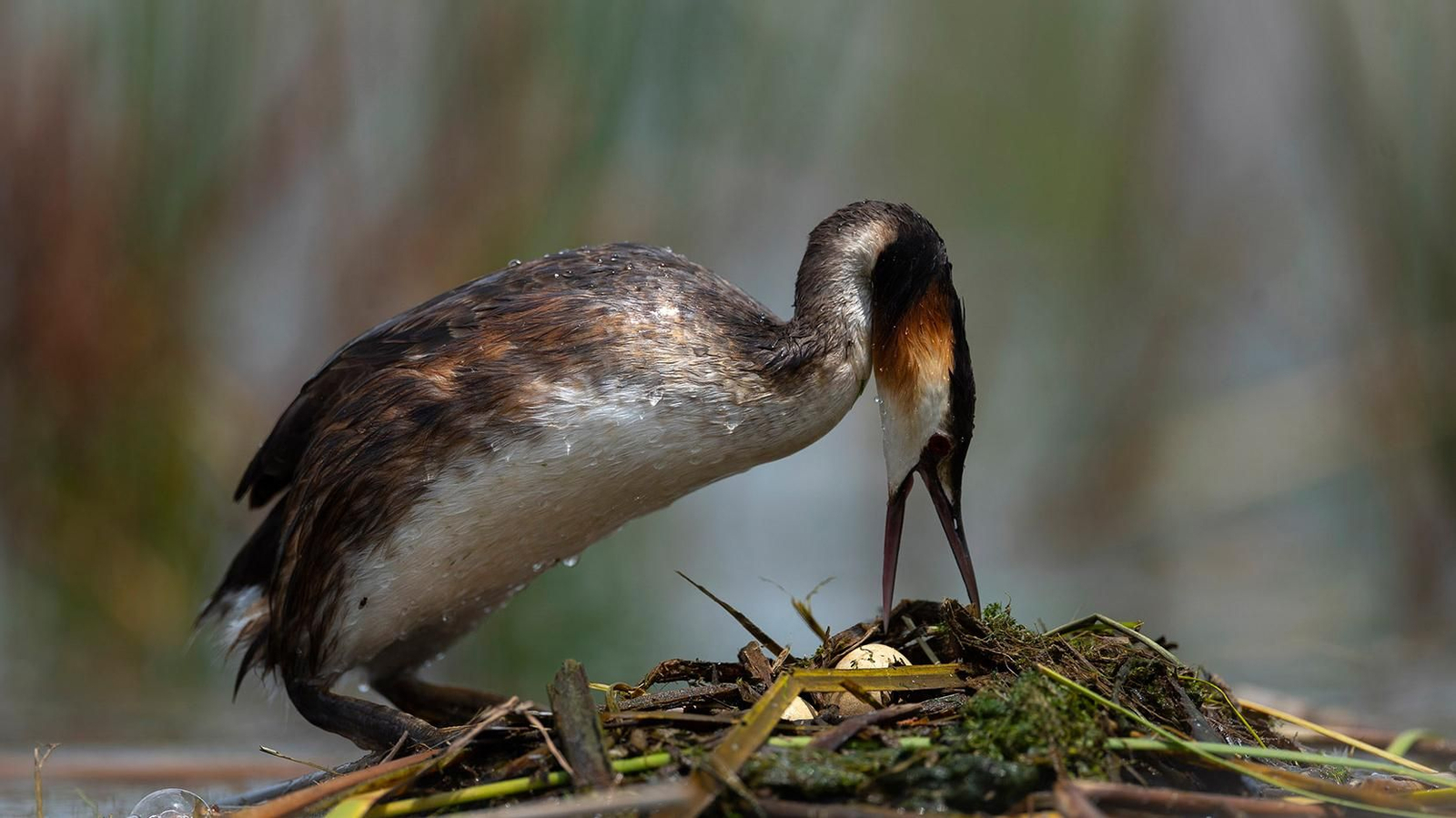 Día Mundial de Agua 2022