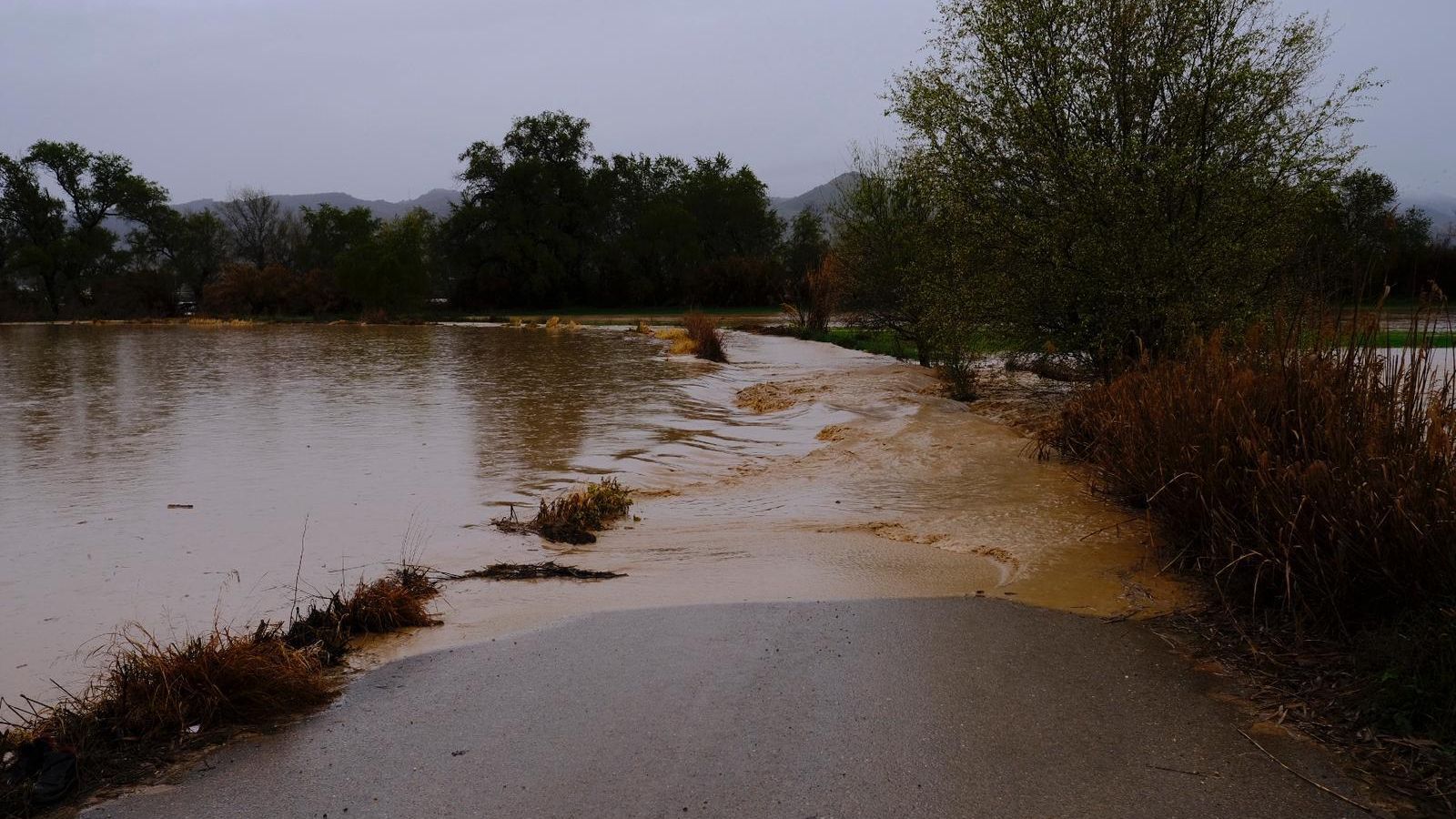 El río Guadalhorce a su paso por la Vega de Antequera.