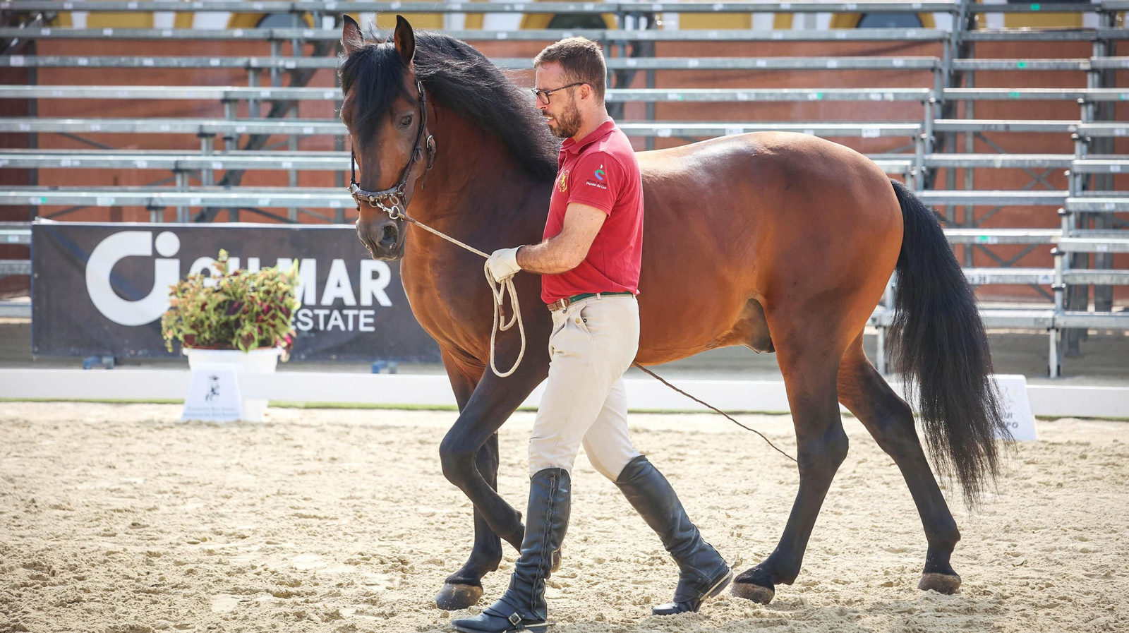 Ensayos para la Gala V Escuelas en Jerez