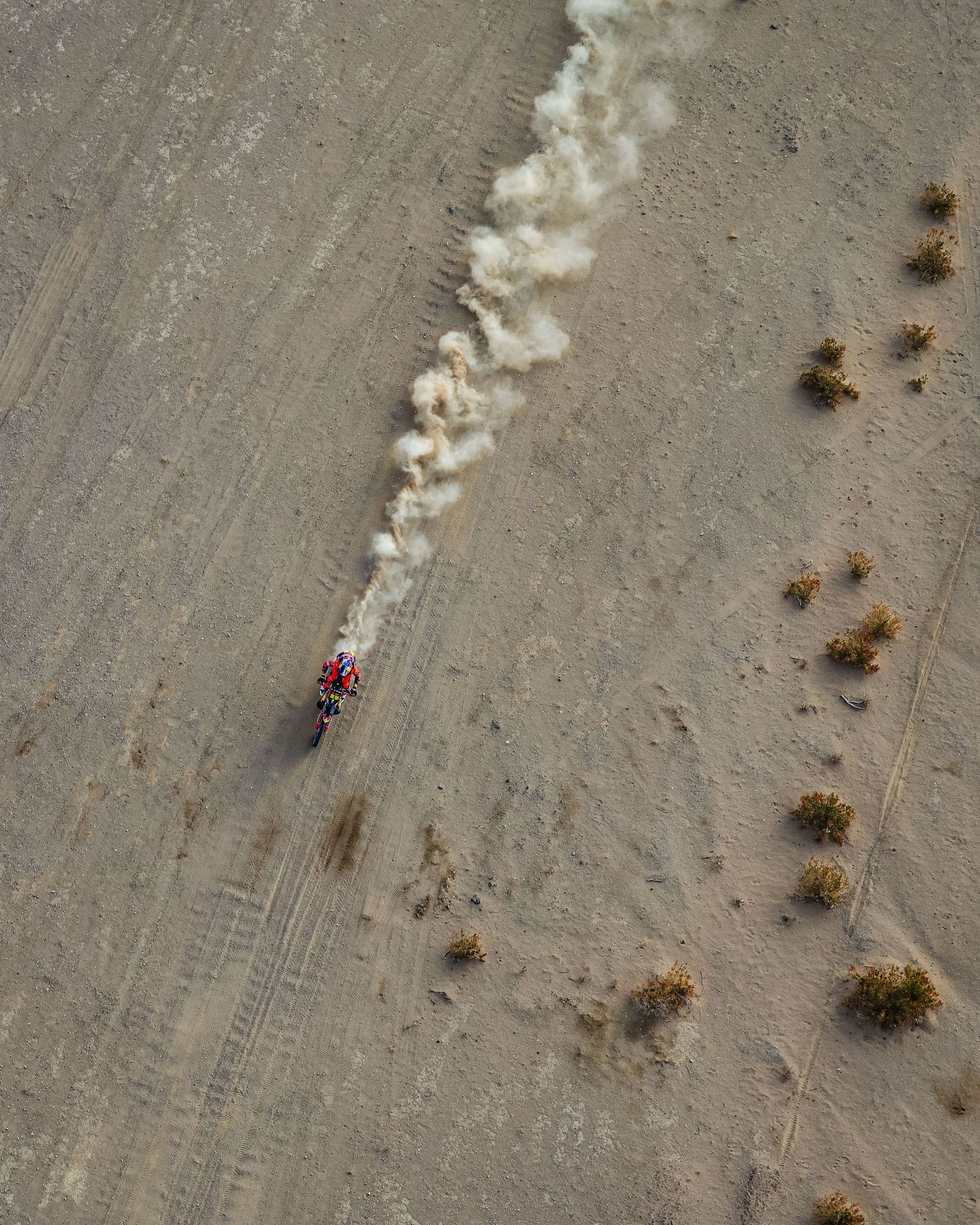 Las mejores fotos del Rally Dakar | undécima etapa