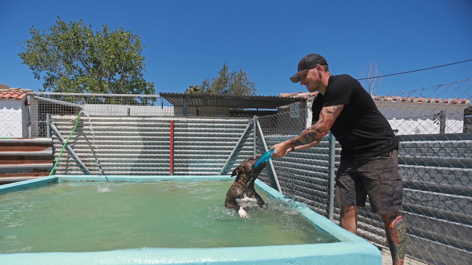 Un voluntario de SOS PPP Los Barrios jugando con uno de los perros en las instalaciones.