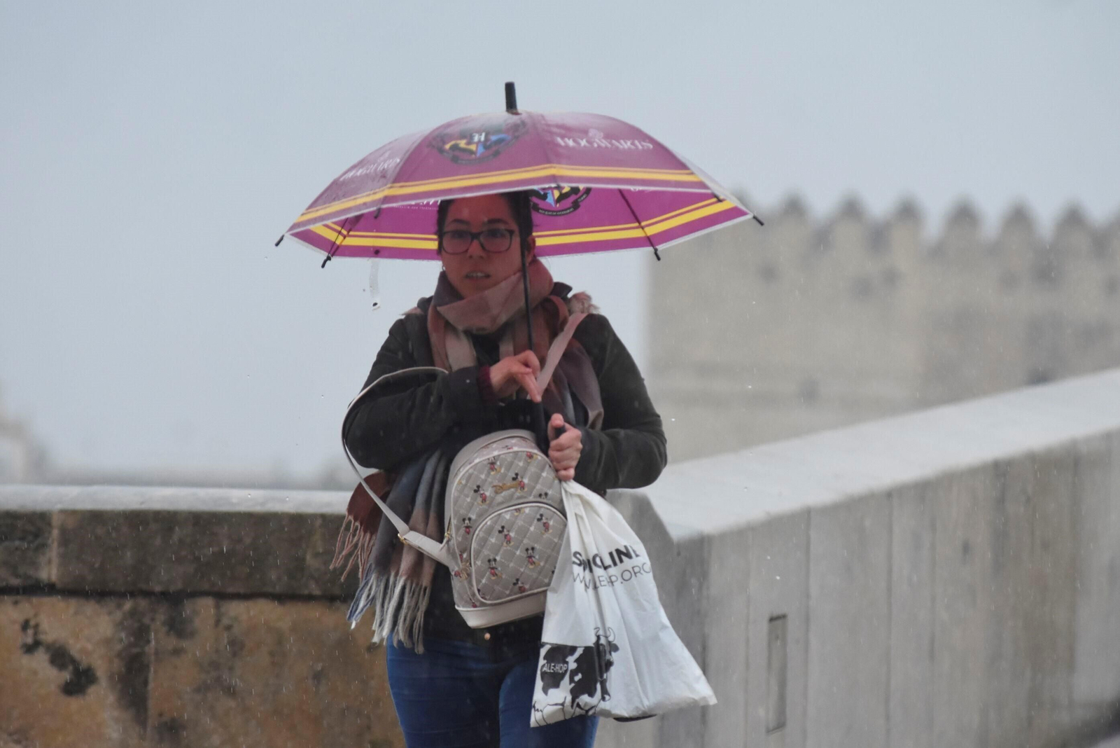 El paso de la borrasca Karlotta por Córdoba, en imágenes