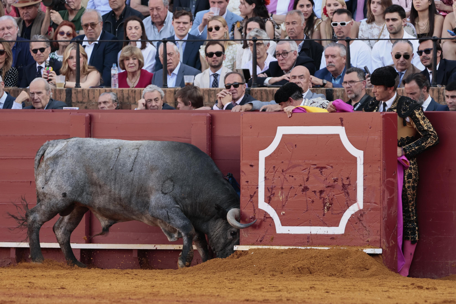 Las imágenes del festejo