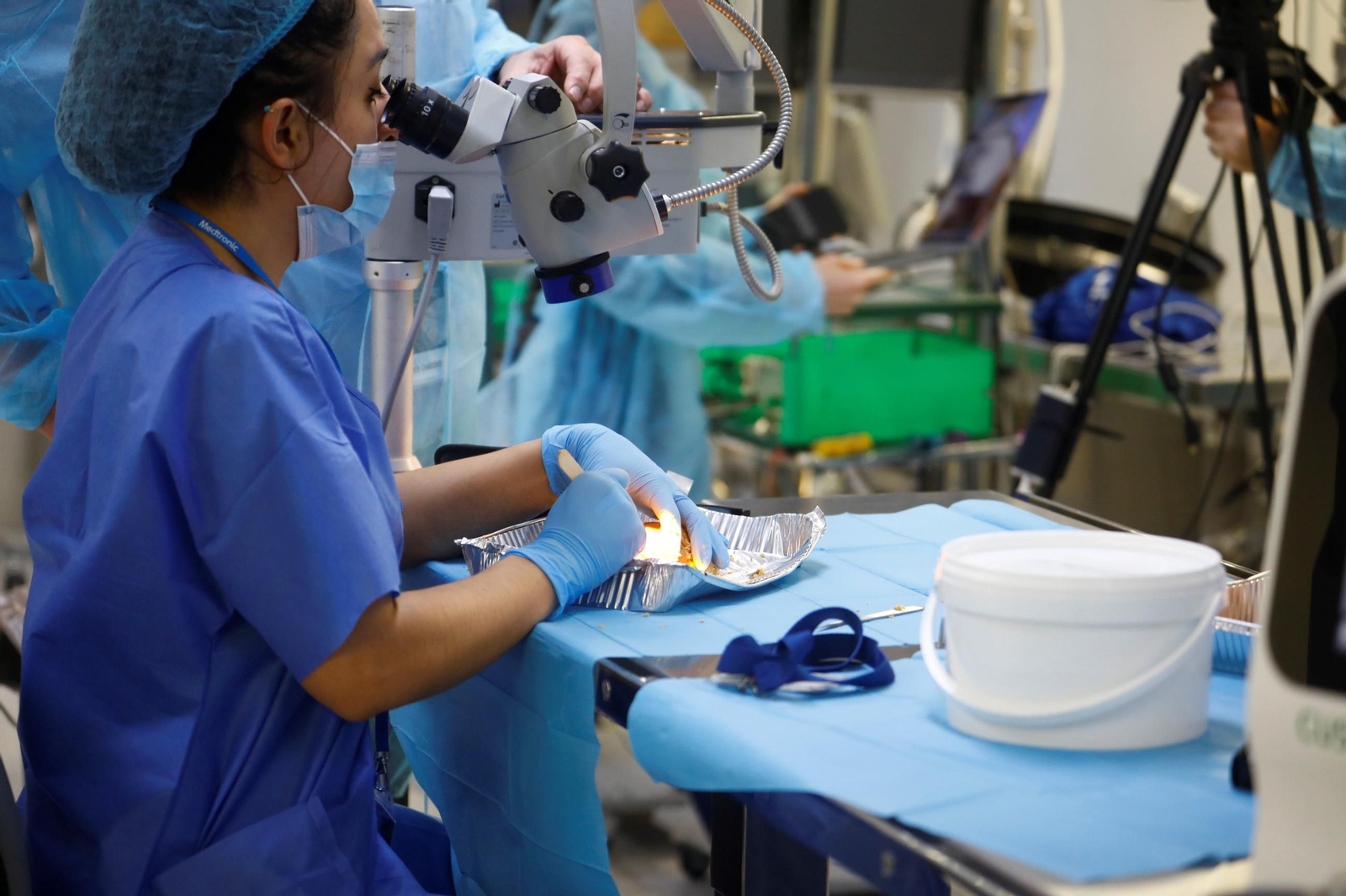 El curso en el que neurocirujanos del Hospital Reina Sofía estudian el cerebro, en imágenes