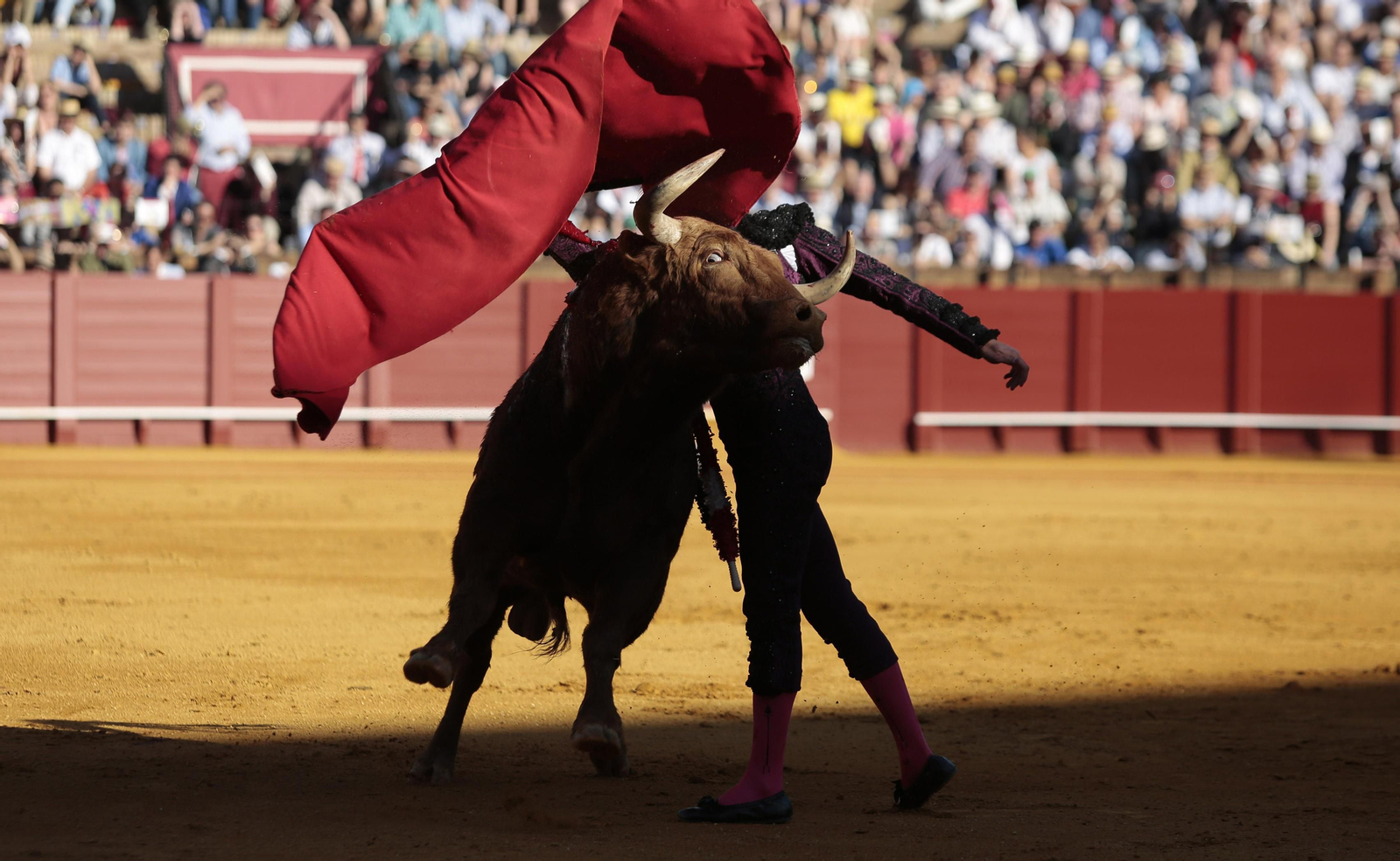 La décima de abono en la Real Maestranza de Sevilla