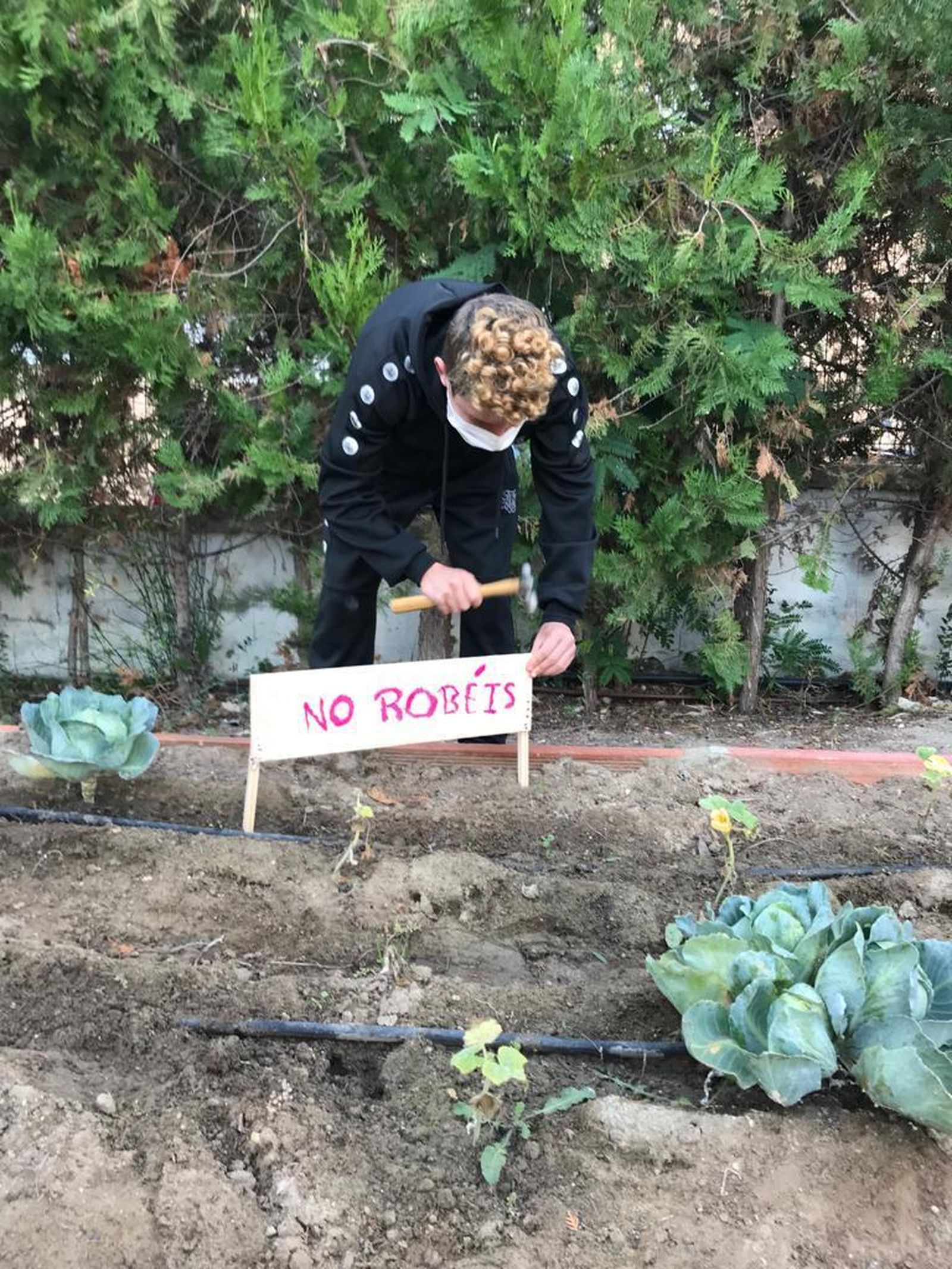 Un alumno coloca uno de los carteles pidiendo que no se roben las plantas del huerto