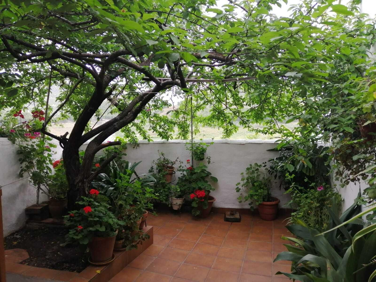 Fotografías de cómo lucen los patios, balcones y rejas de Iznájar.