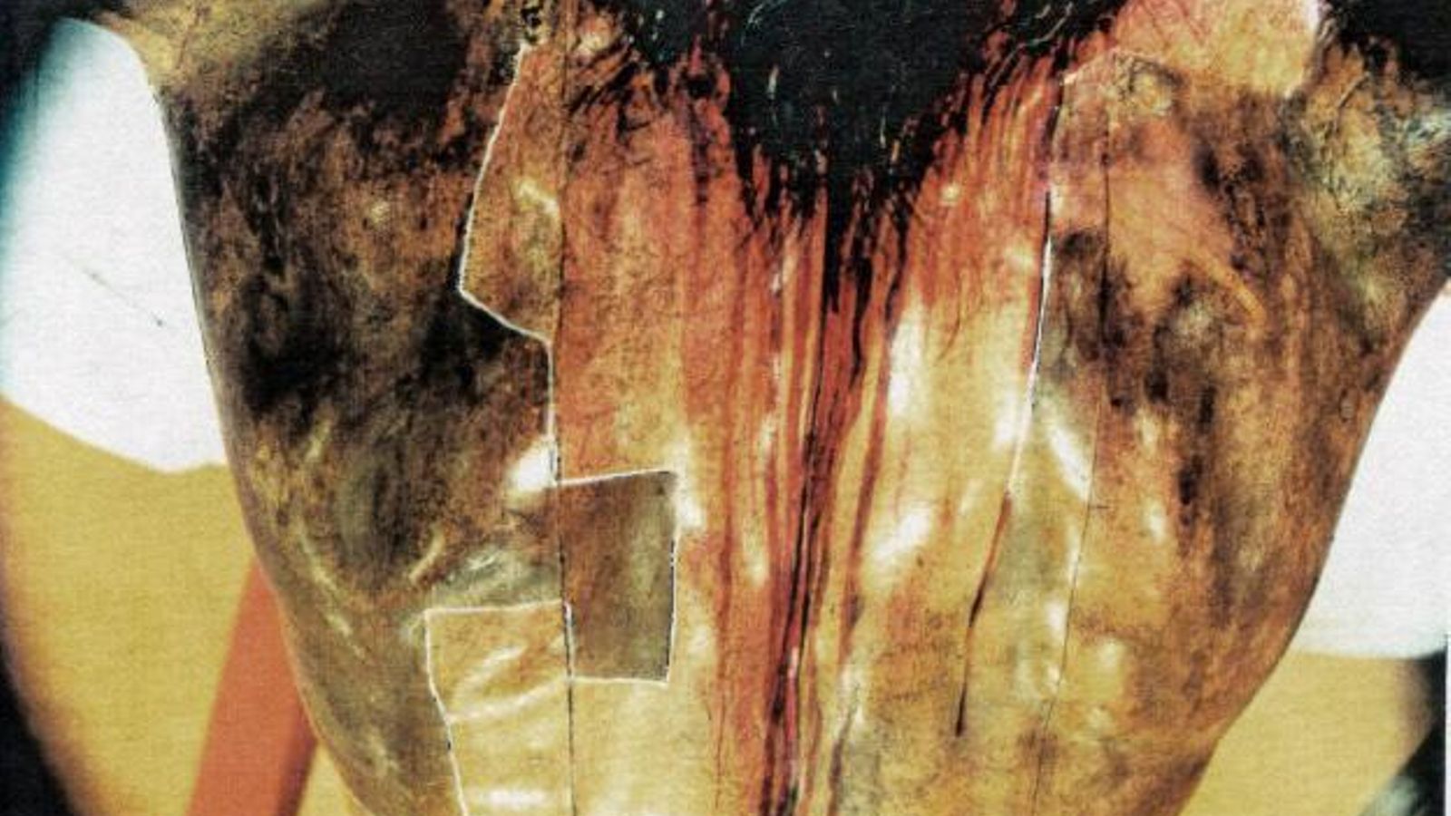 El torso de la imagen con diferentes estados de limpieza.