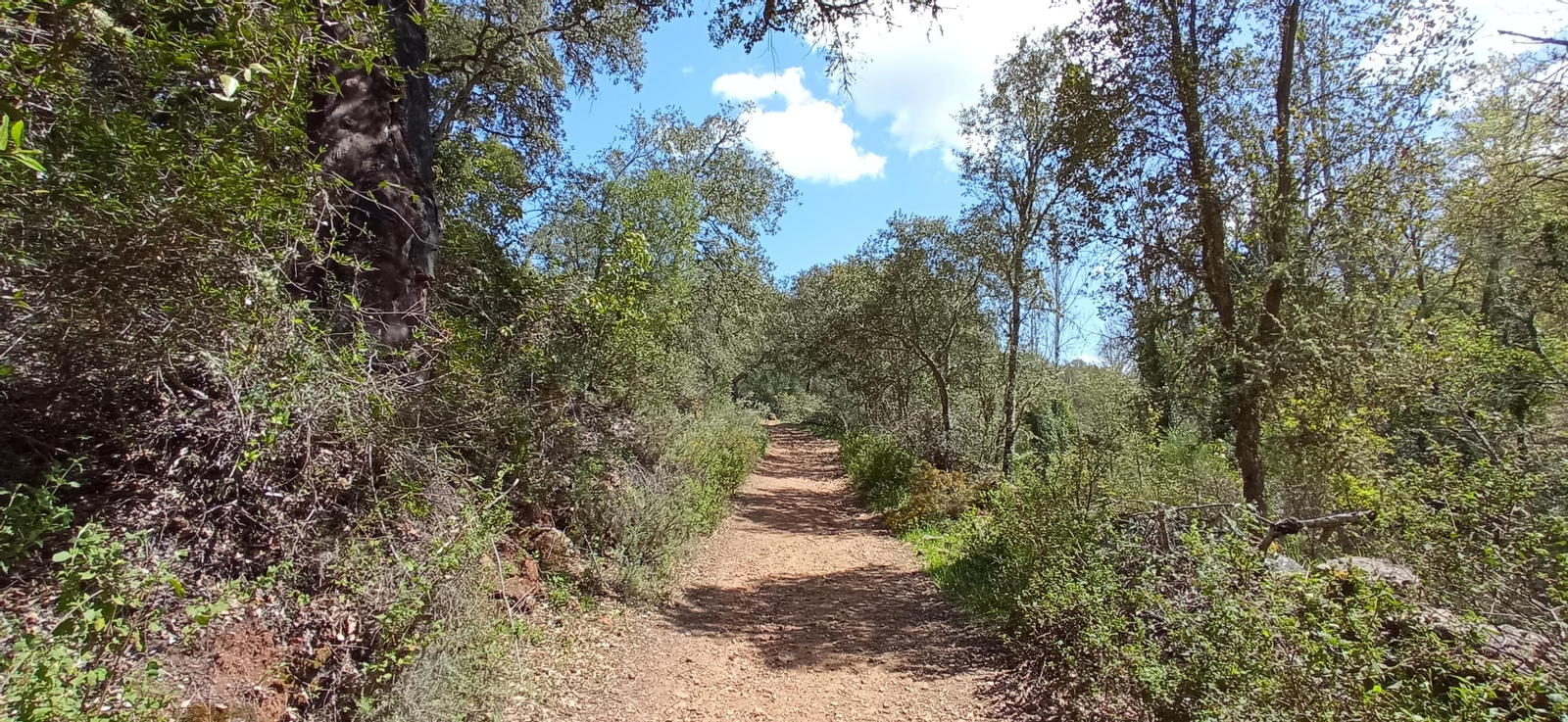 Las imágenes de la ruta de las casas de los Tres Cerditos