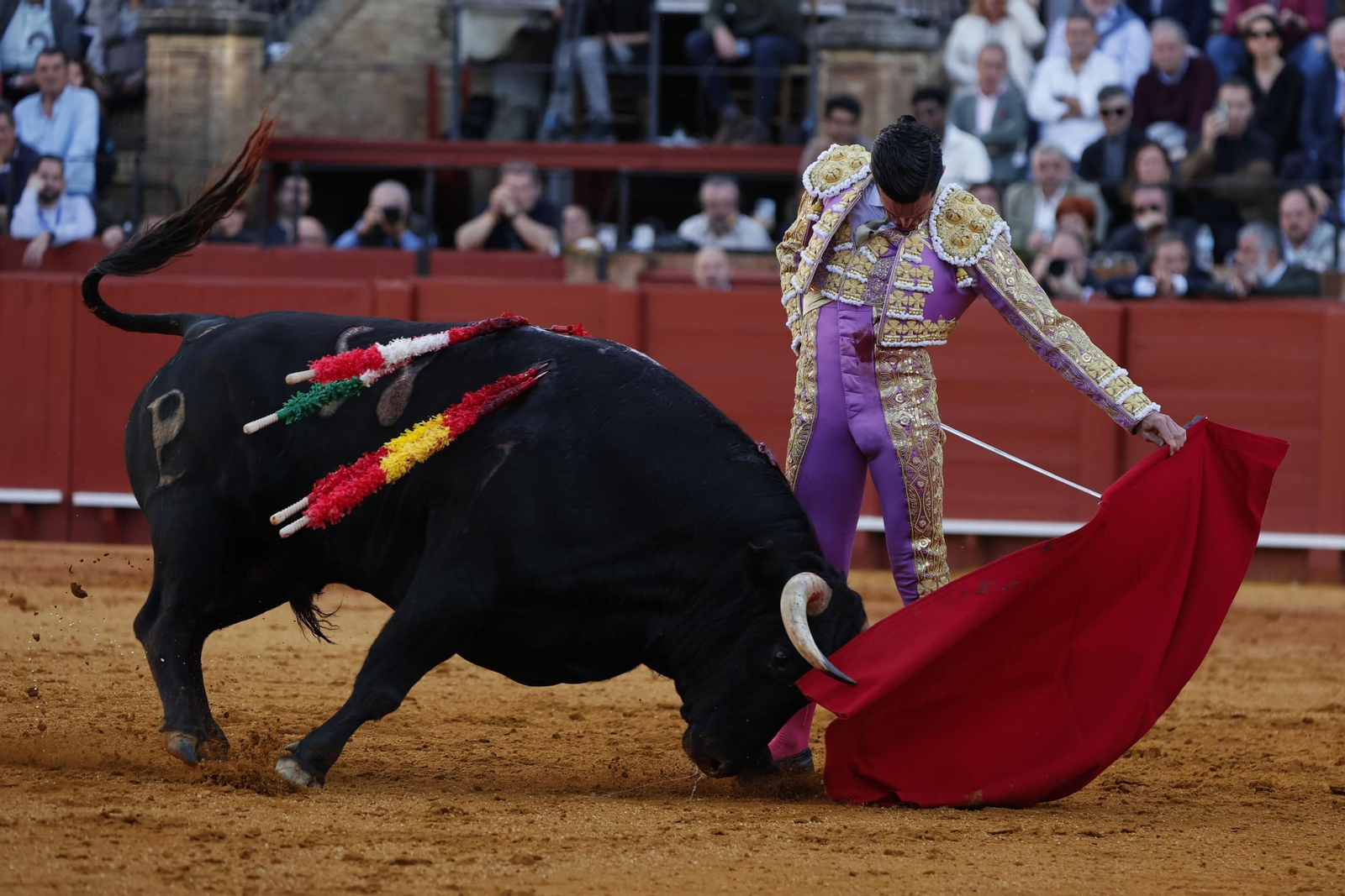 Las Imágenes del festejo