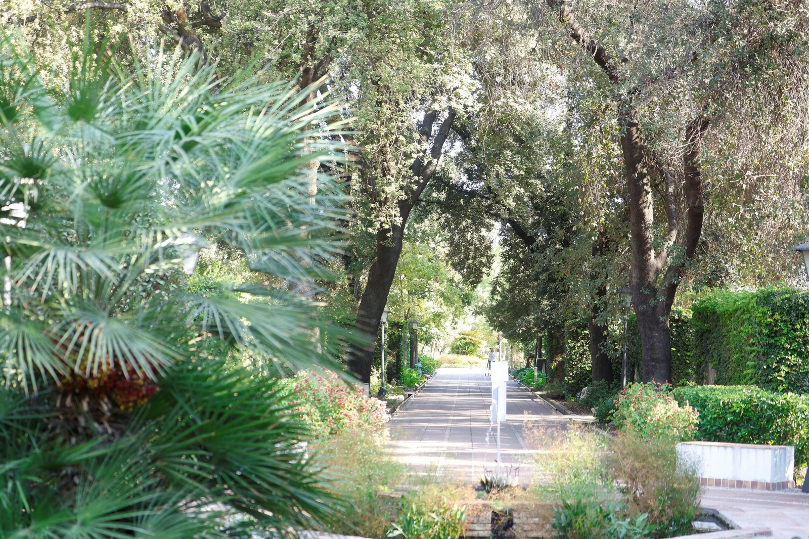Un paseo en imágenes por el Real Jardín Botánico de Córdoba