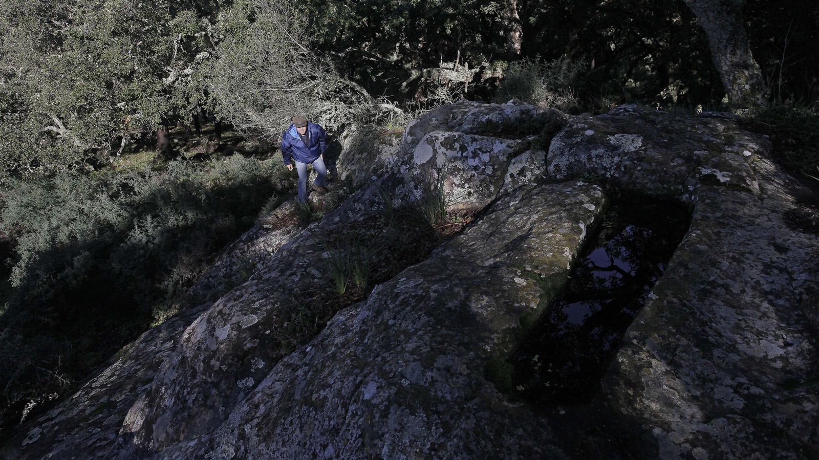 Sendero de la finca Murta en Los Barrios