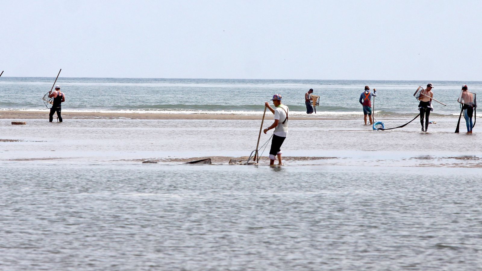 Mariscadores faenan la coquina a pie en la costa de Huelva