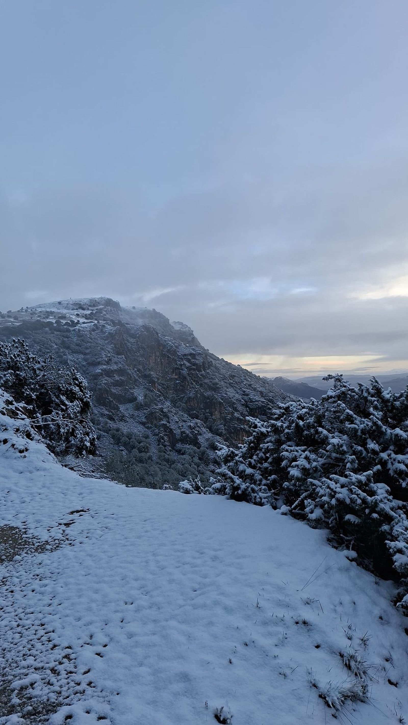 Nevada en Grazalema 2026