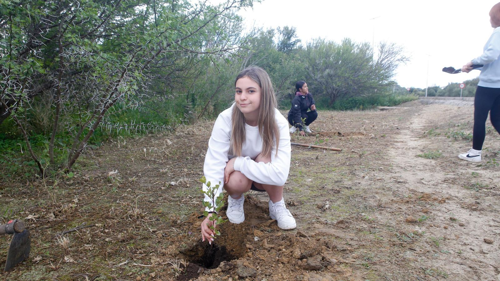 Fotografías de la plantación del programa 'Reverdece' de Acerinox Fotografías de la plantación del programa 'Reverdece' de Acerinox