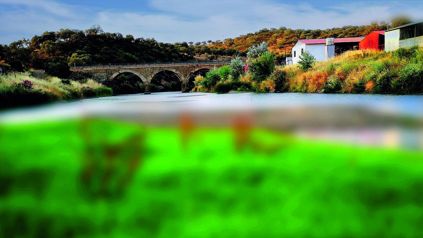 Rosal de la Frontera.