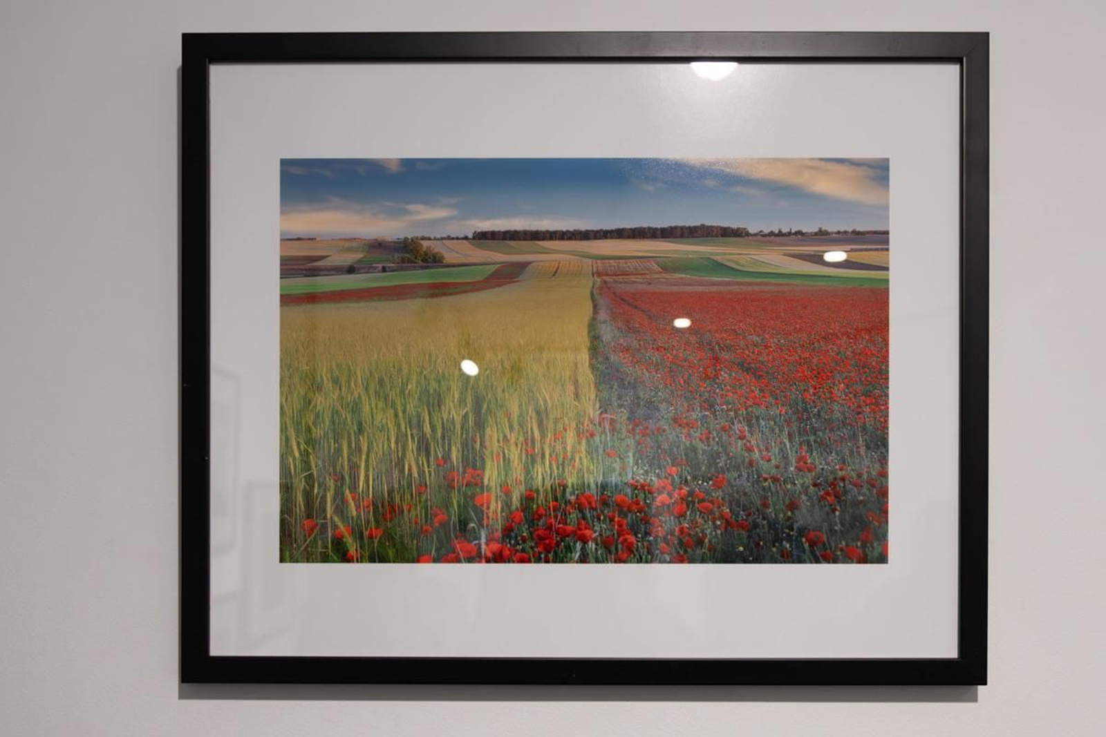 Exposición La Tierra, corazón de la vida, en imágenes