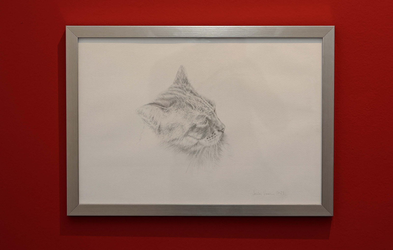 Imágenes de la inauguración de la exposición 'A punta de plata' de Javier Velasco en La Línea