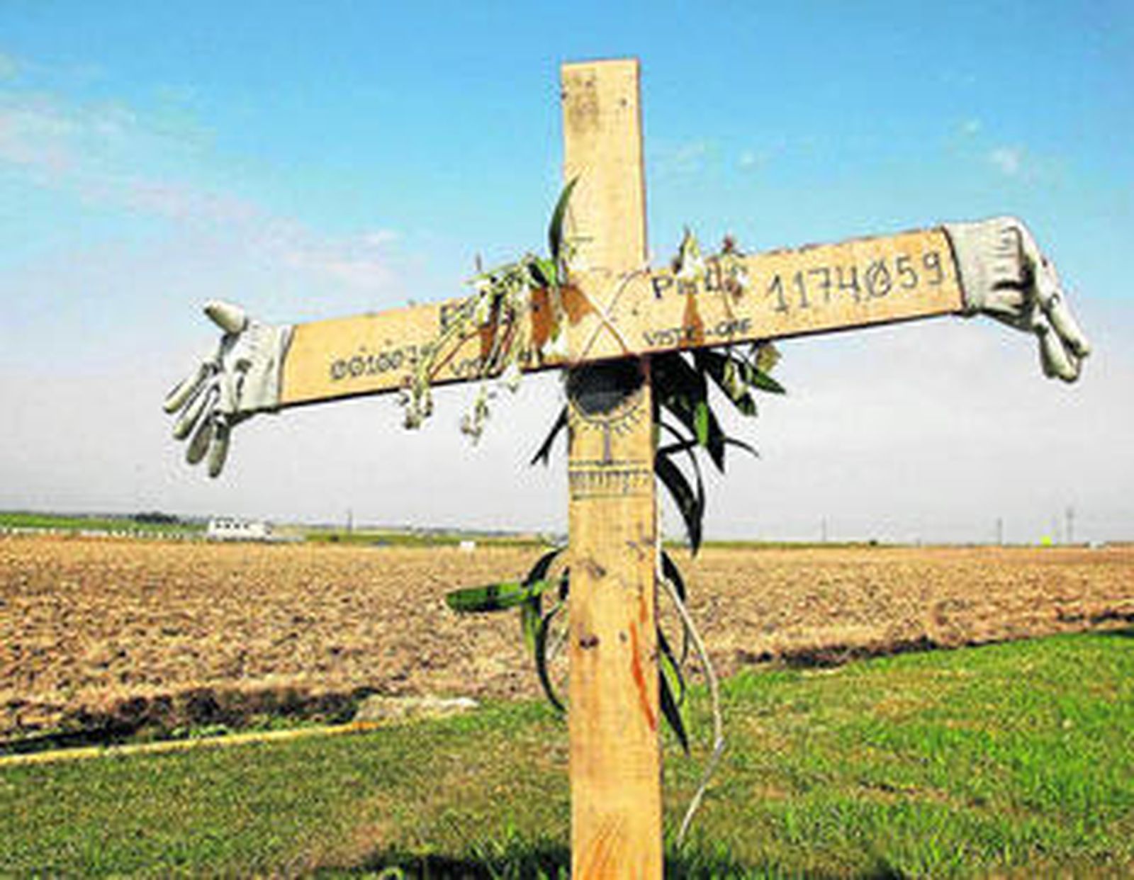 Terrenos de Visteon que han pasado a ser del Ayuntamiento.