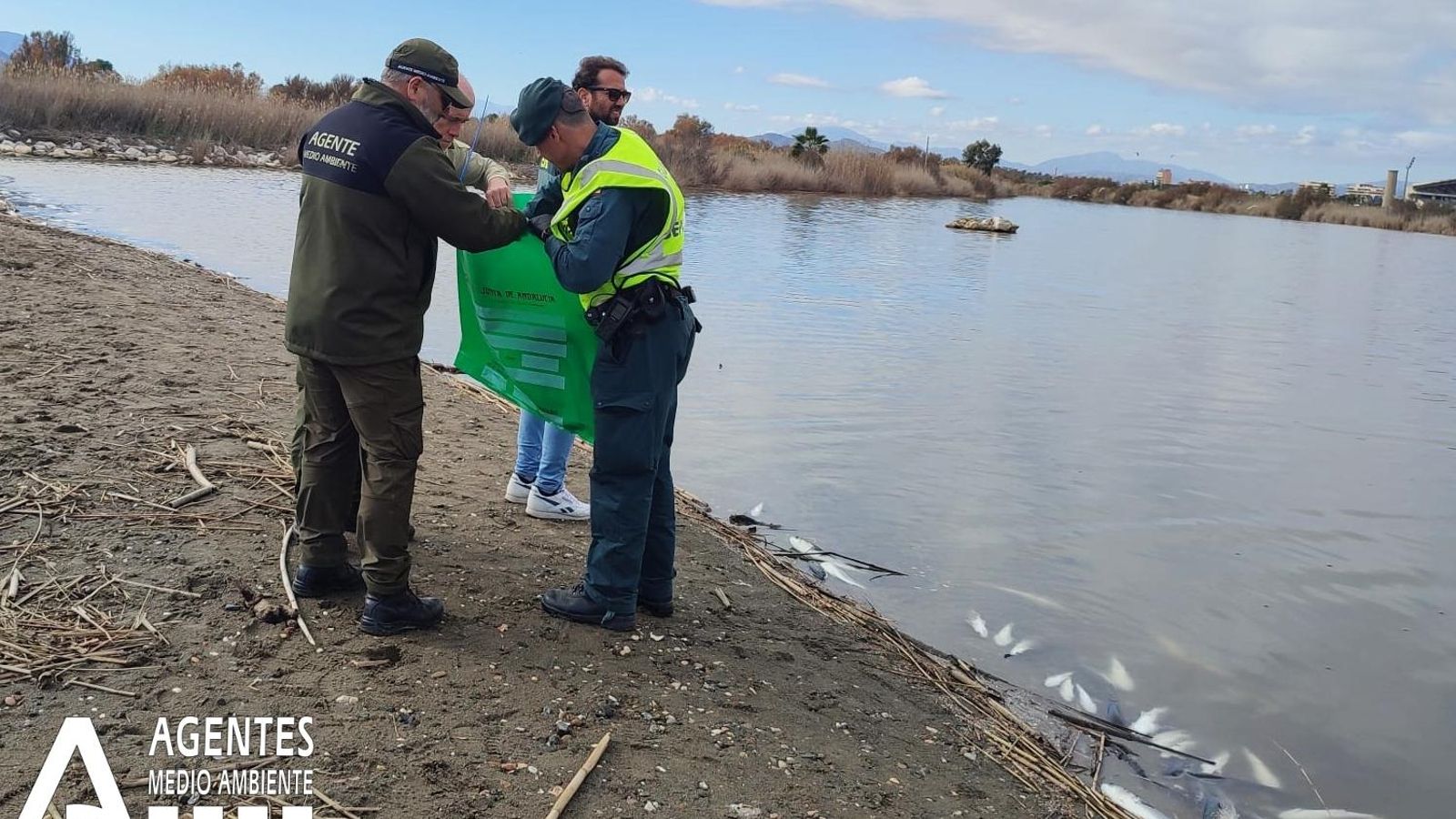 Agentes de Medio Ambiente y Guardia Civil recogen muestras en la zona donde han aparecido los peces muertos. Agentes de Medio Ambiente y Guardia Civil recogen muestras en la zona donde han aparecido los peces muertos.