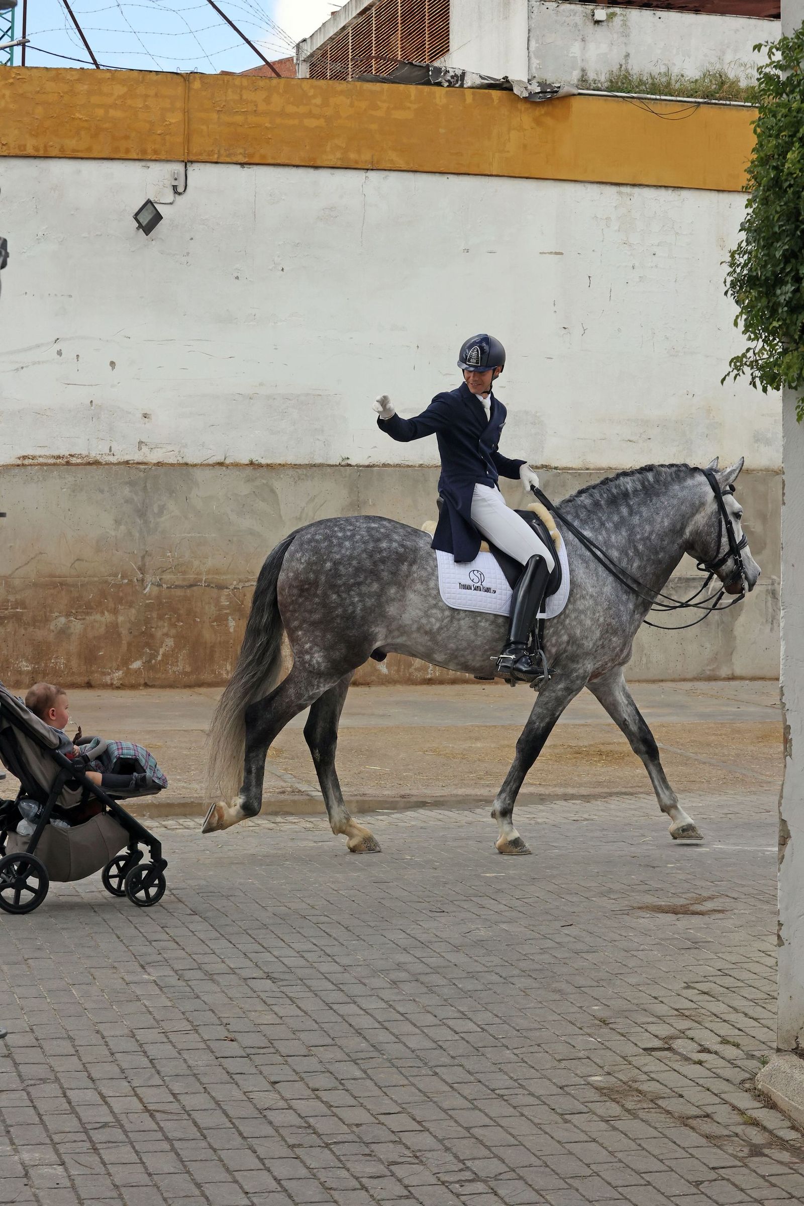 Concurso Internacional de Doma Clásica en La Real Escuela de Jerez