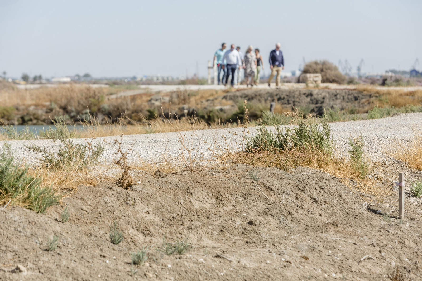 Conoce el sendero que unirá San Fernando y Chiclana