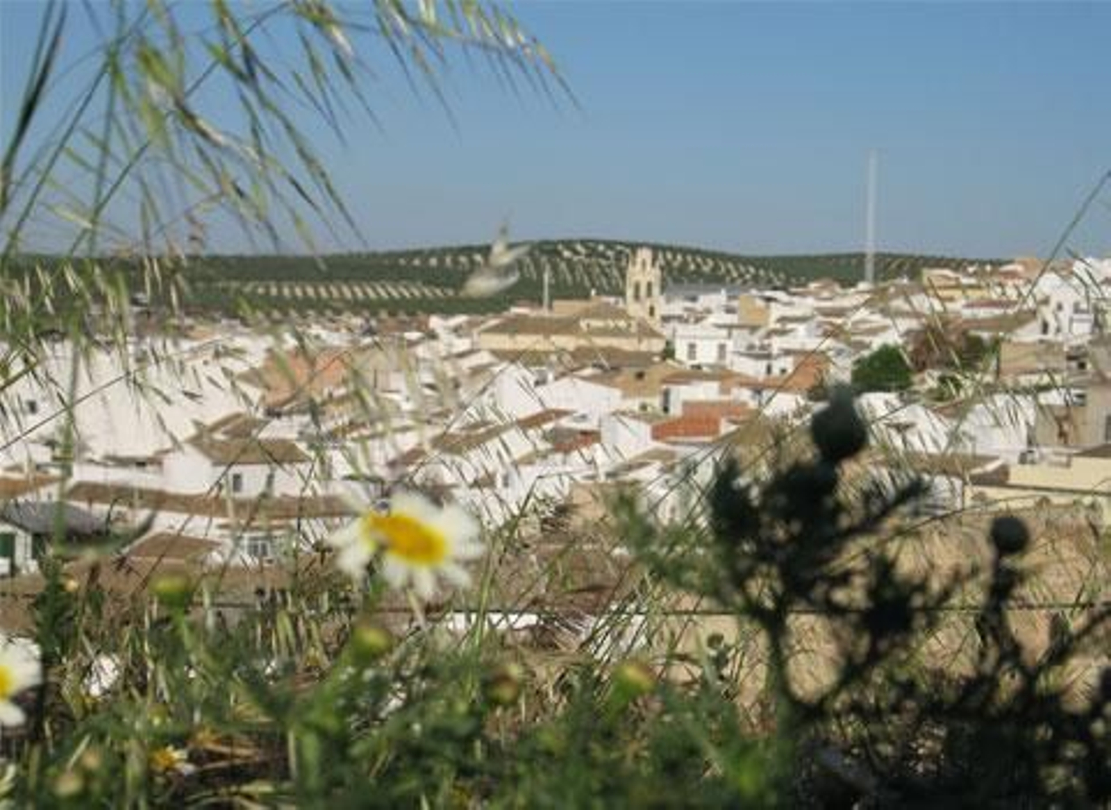 Casariche, Sevilla