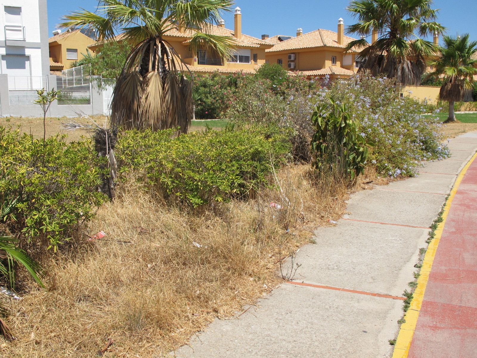 El barrio de Casines es una de las zonas donde más hierba se acumula.