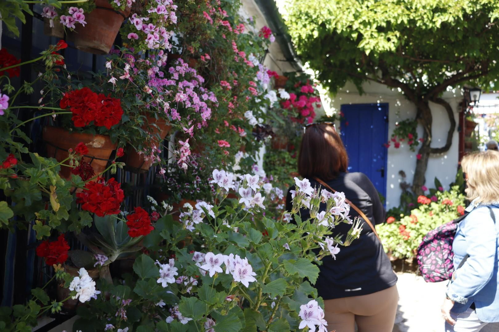 Patio de Marroquíes, 6