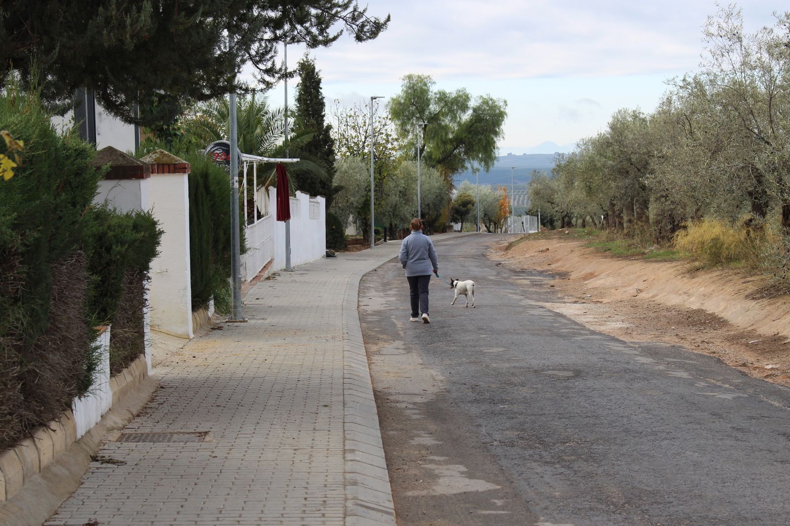 la barriada La Vereda del Cerro Macho de Montilla.