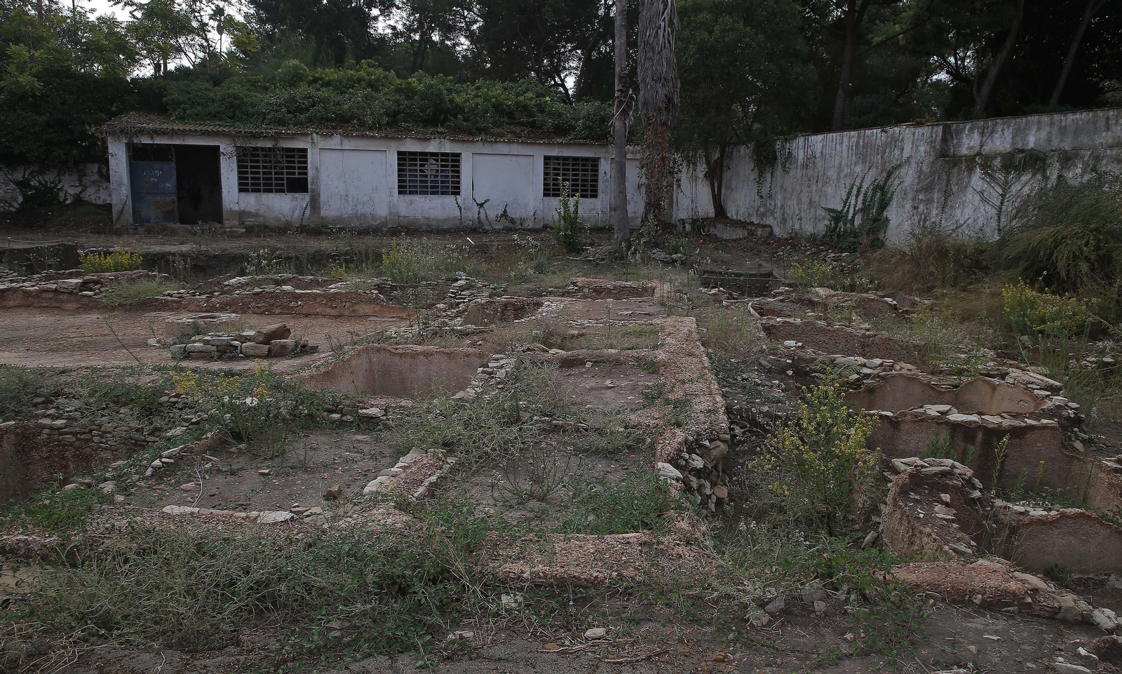 Fotos de las obras en el centro de interpretación 'Paco de Lucía' y en la fábrica de salazón de Algeciras