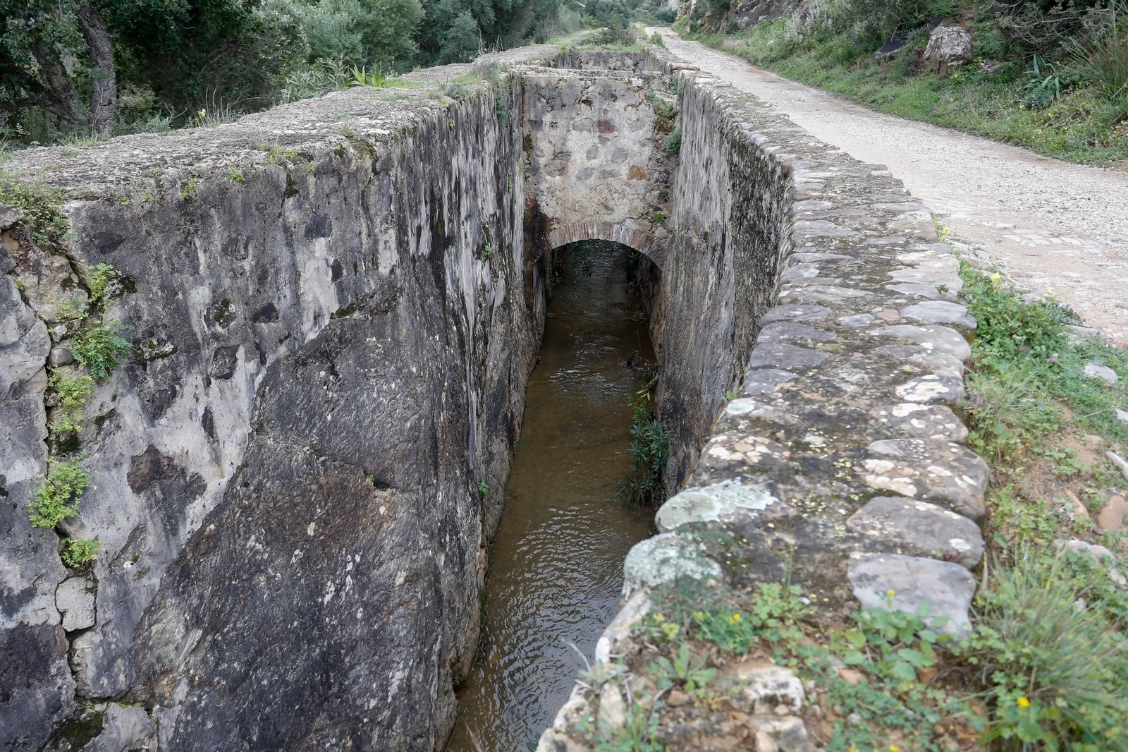Fotos de los ríos del Campo de Gibraltar tras las últimas lluvias