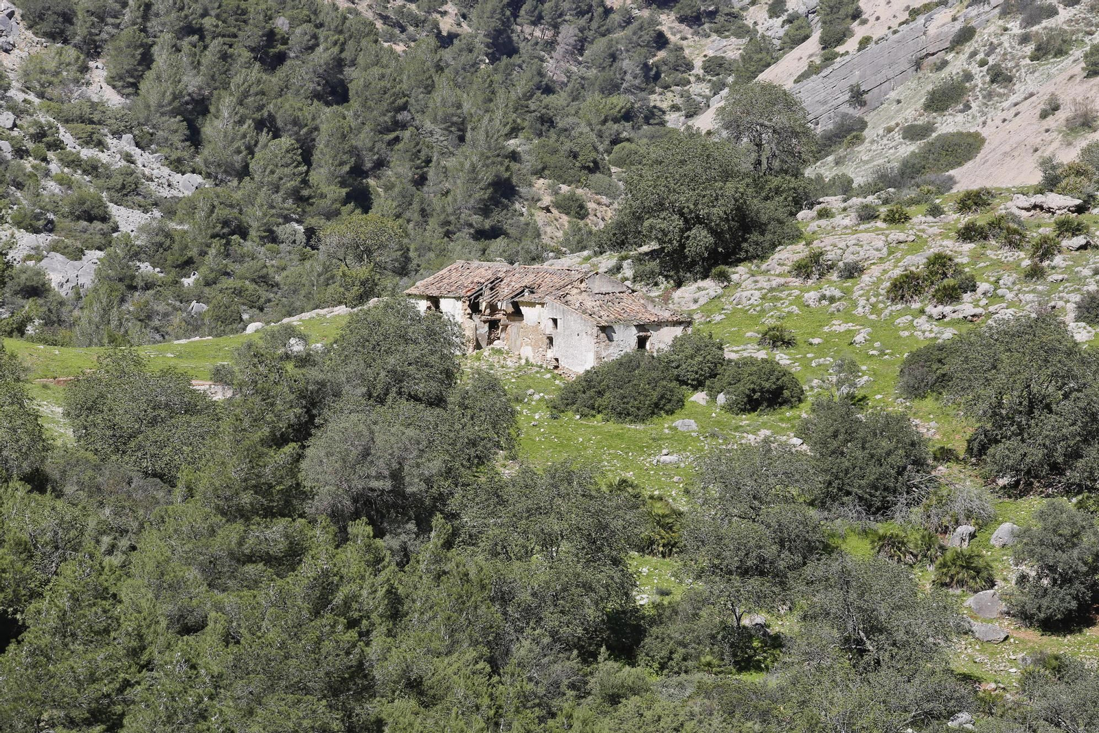 Segundo aniversario del Caminito del Rey