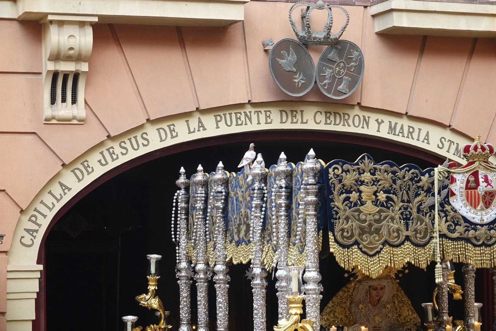 Las fotos de la Paloma, en el Miércoles Santo de Málaga