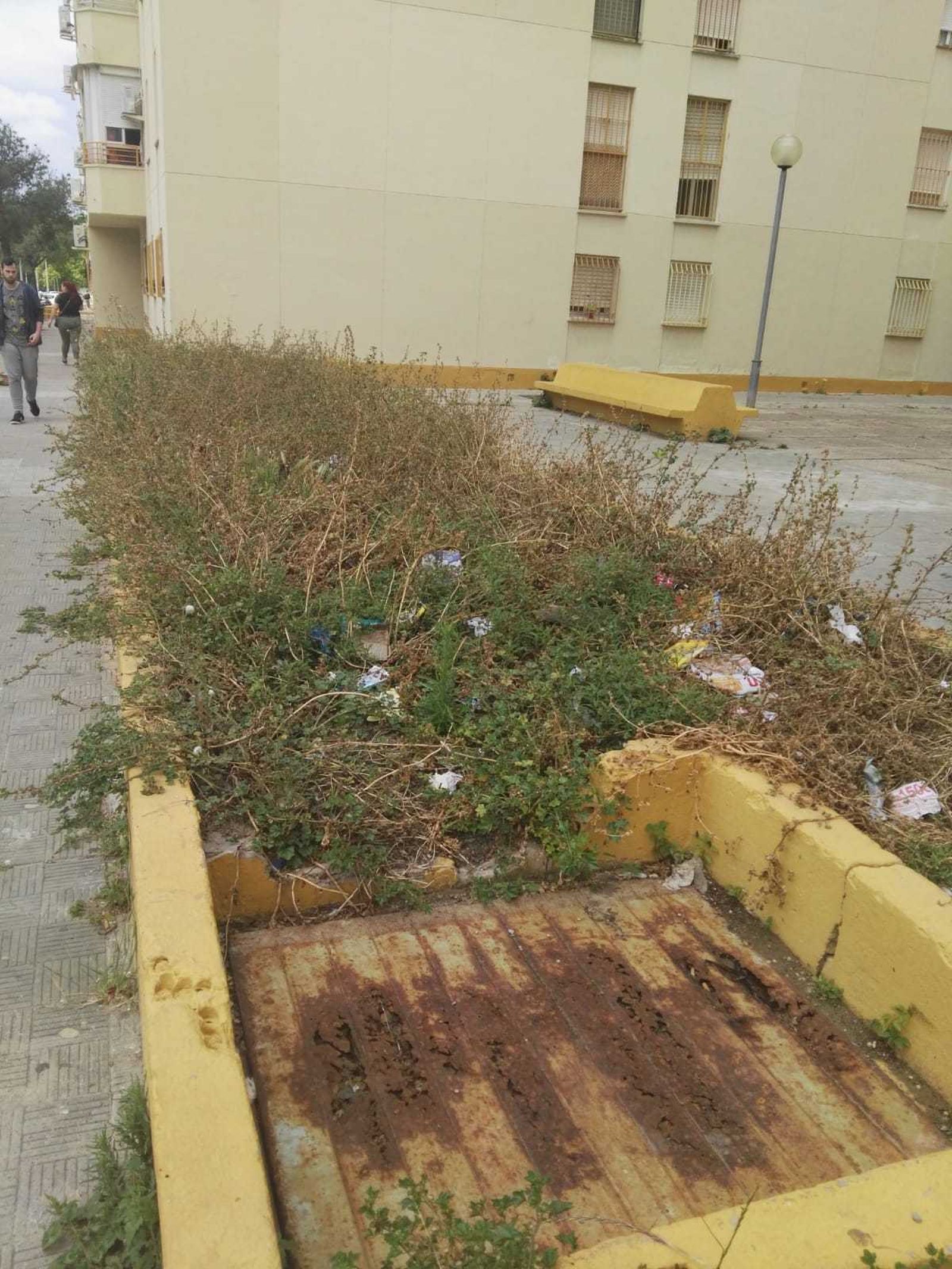 Lamentable imagen que presenta la plaza de la barriada.