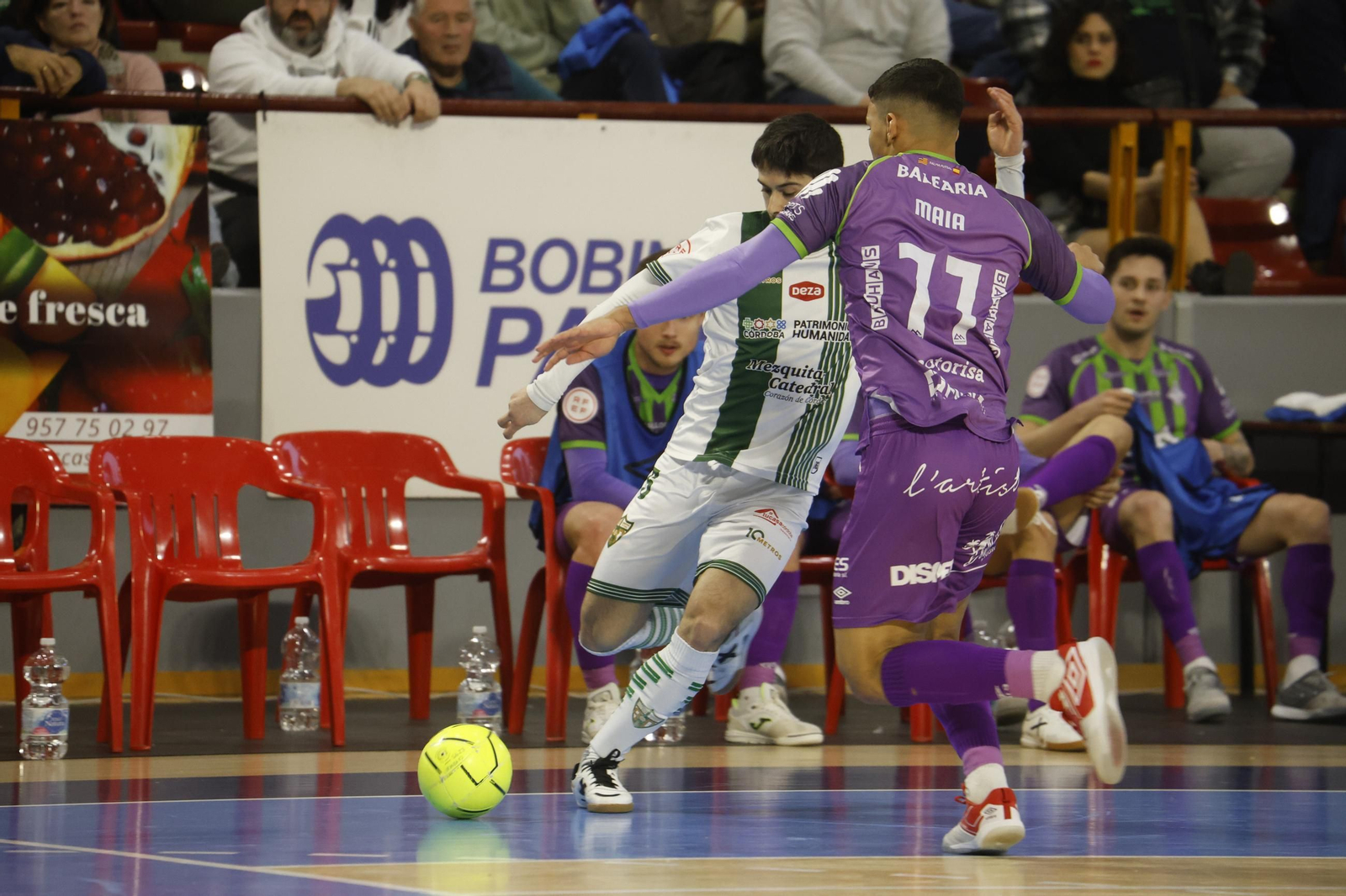 Las mejores fotos del ambiente en Vista Alegre para el Córdoba Futsal - Palma.