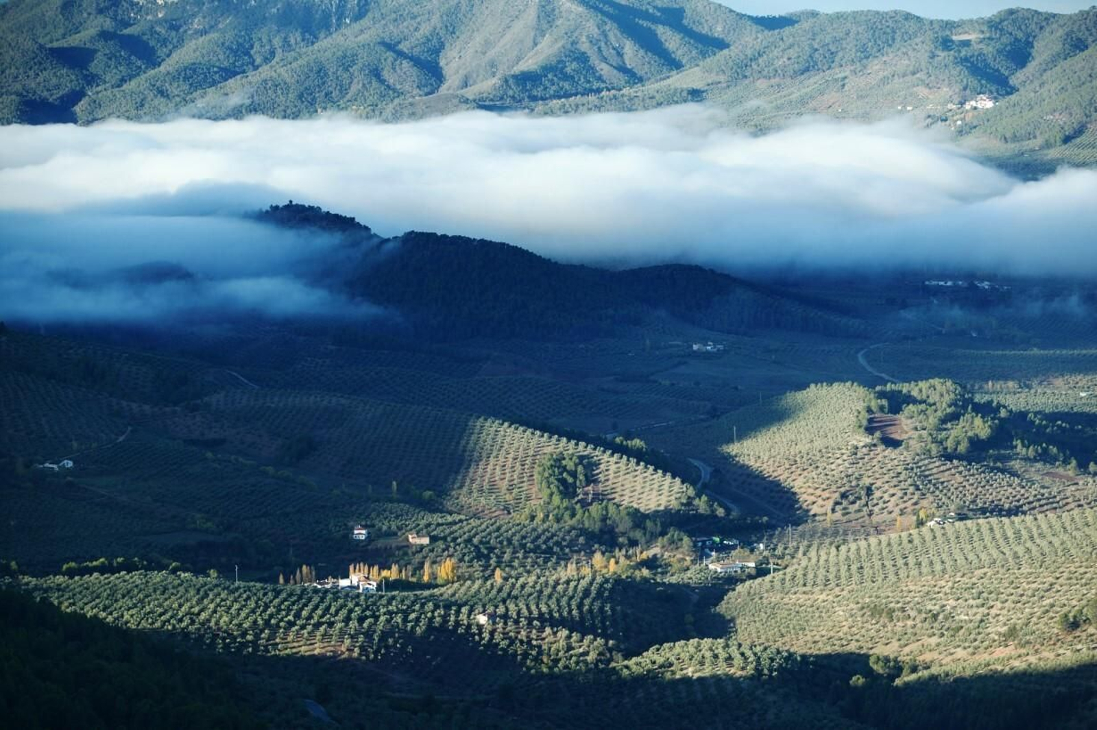 La variedad de ecosistemas hace que el número de especies animales que viven en estos parajes sea también muy diverso.