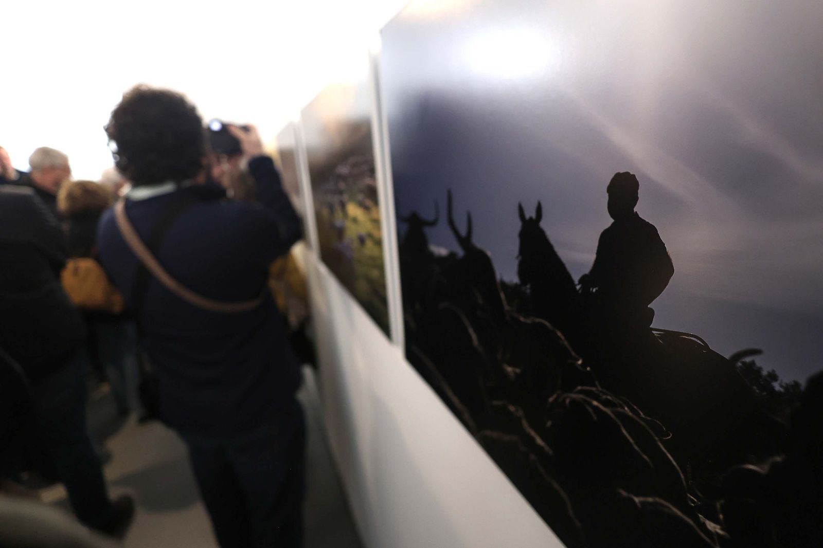 Fotos de la exposición 'Yerba, el corazón verde de la transhumancia' de Katy Muñoz